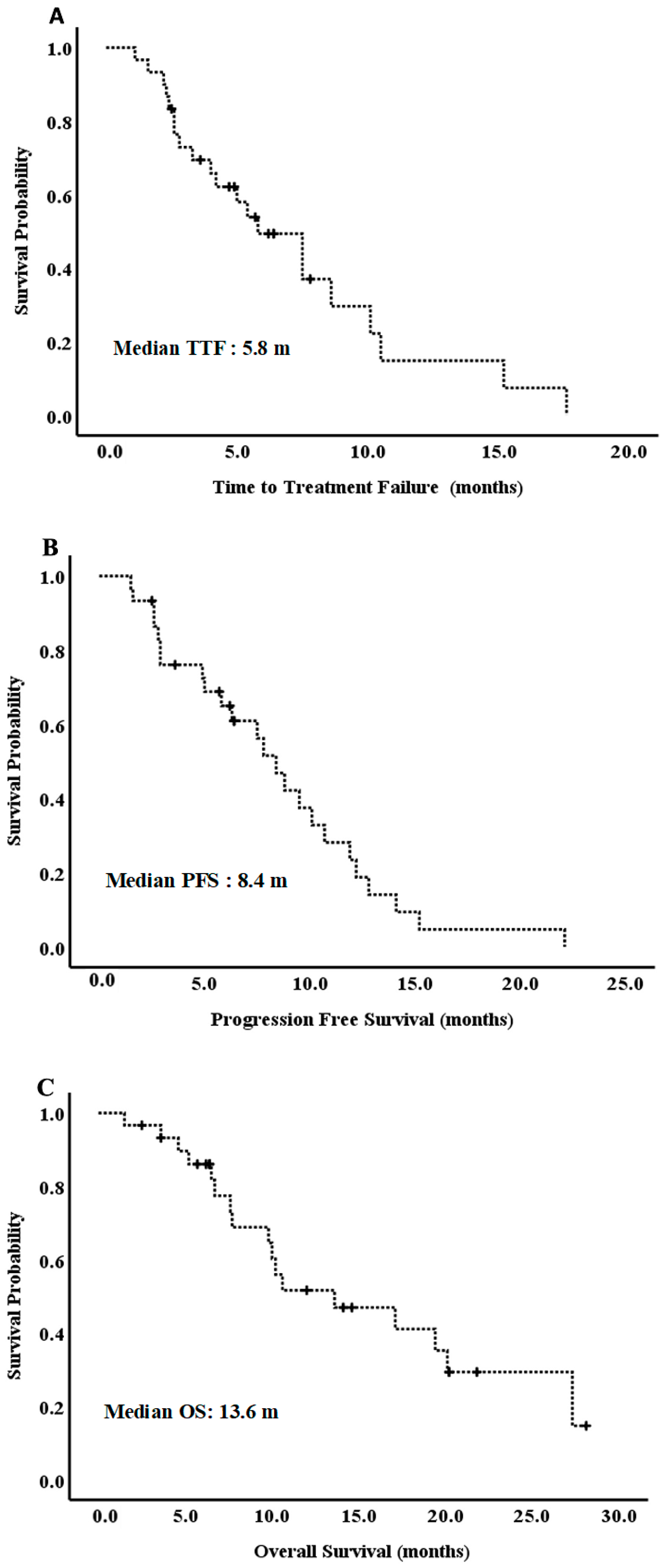 Cancers 13 03831 g001