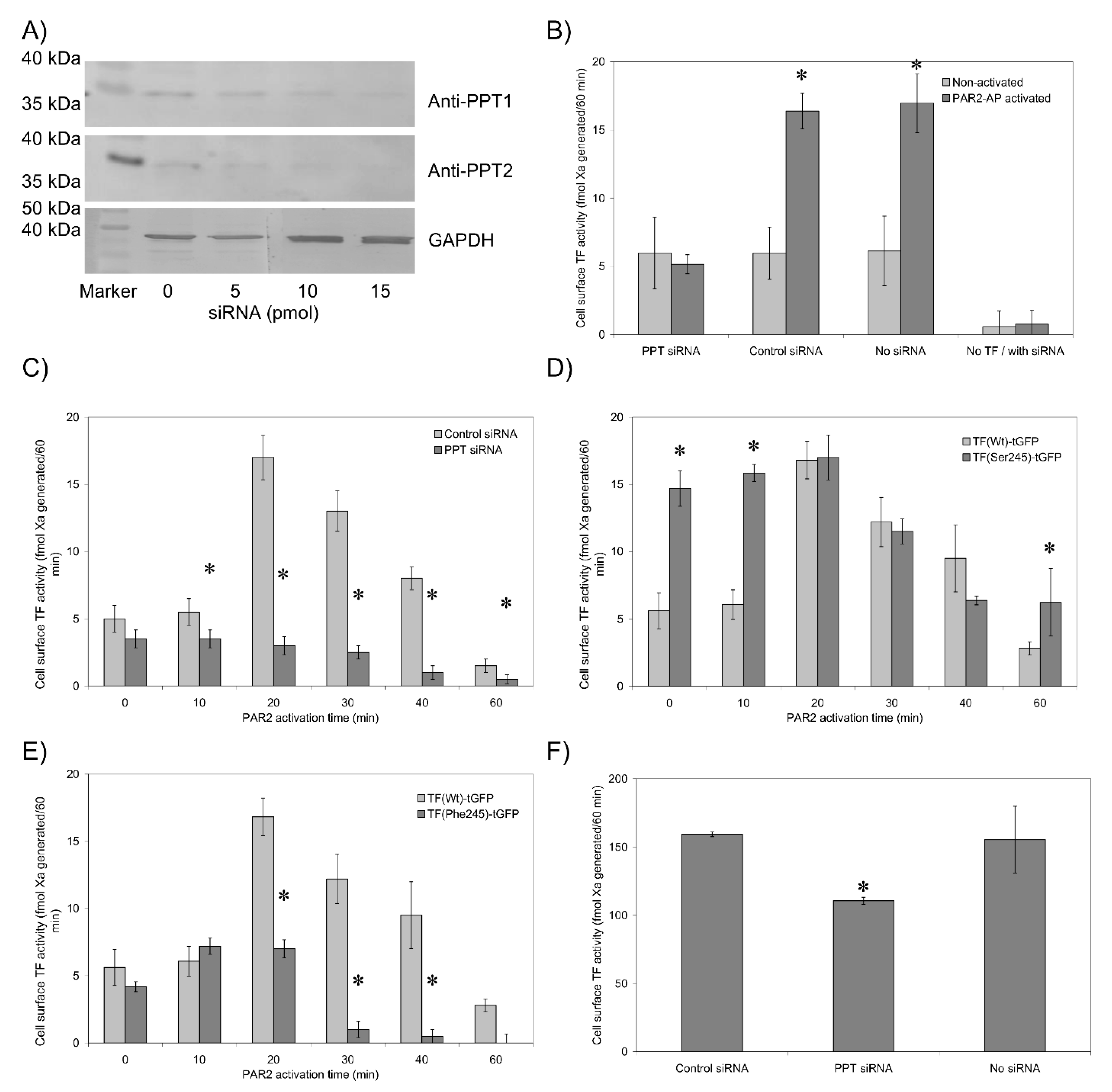 Cancers 13 03837 g002