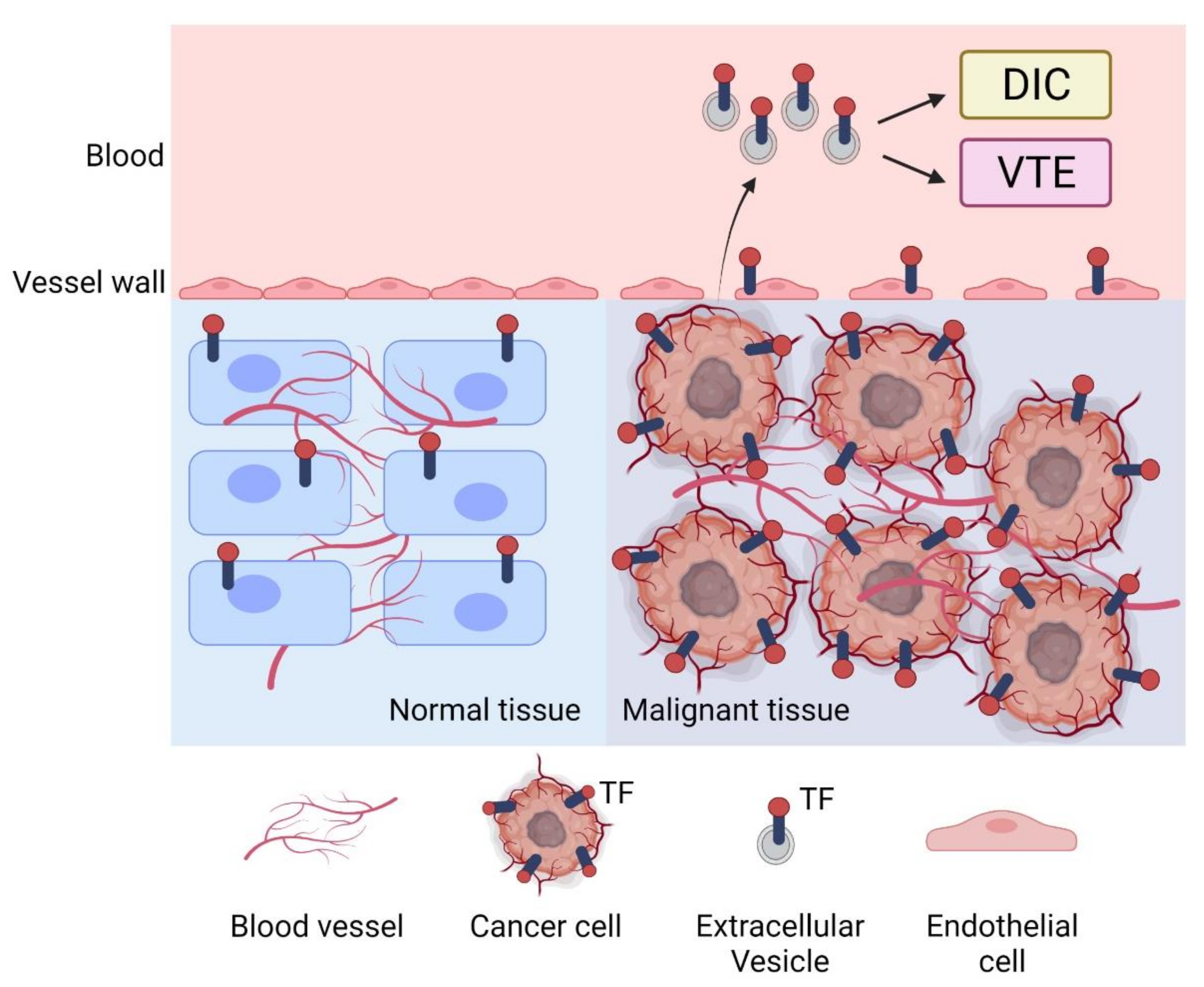 Cancers 13 03839 g001 Cancers 13 03839 g001