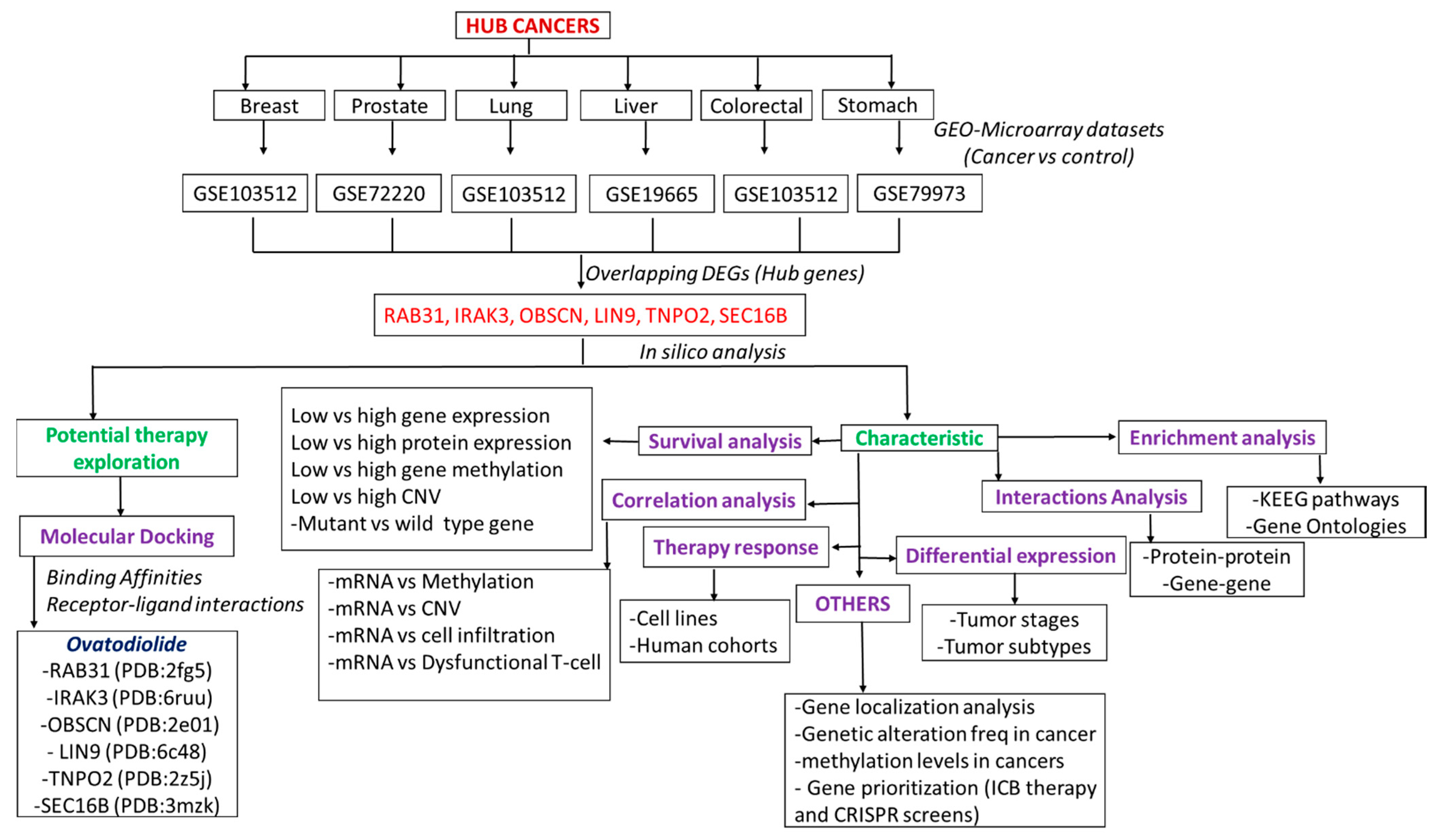 Cancers 13 03847 g001