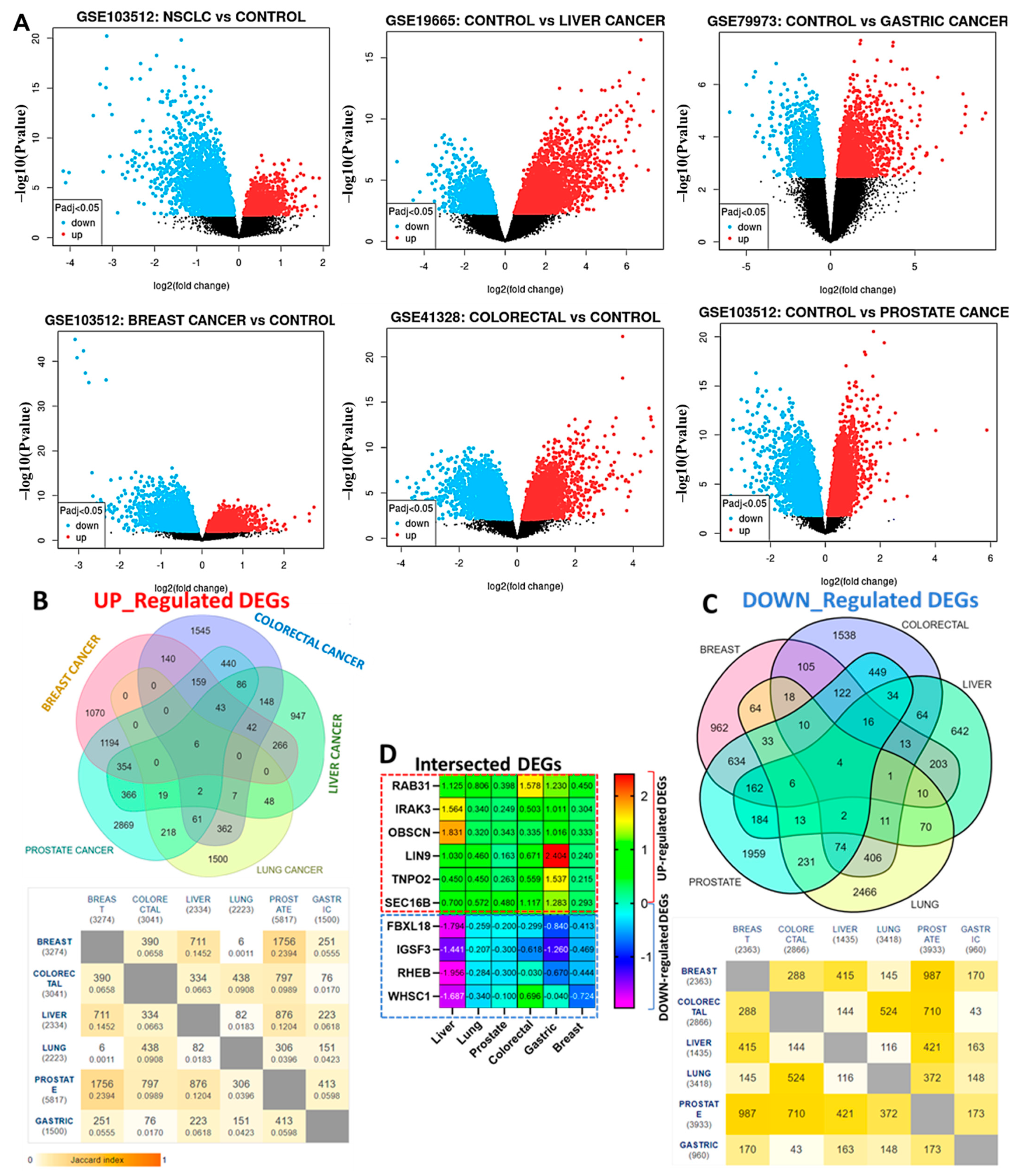 Cancers 13 03847 g002