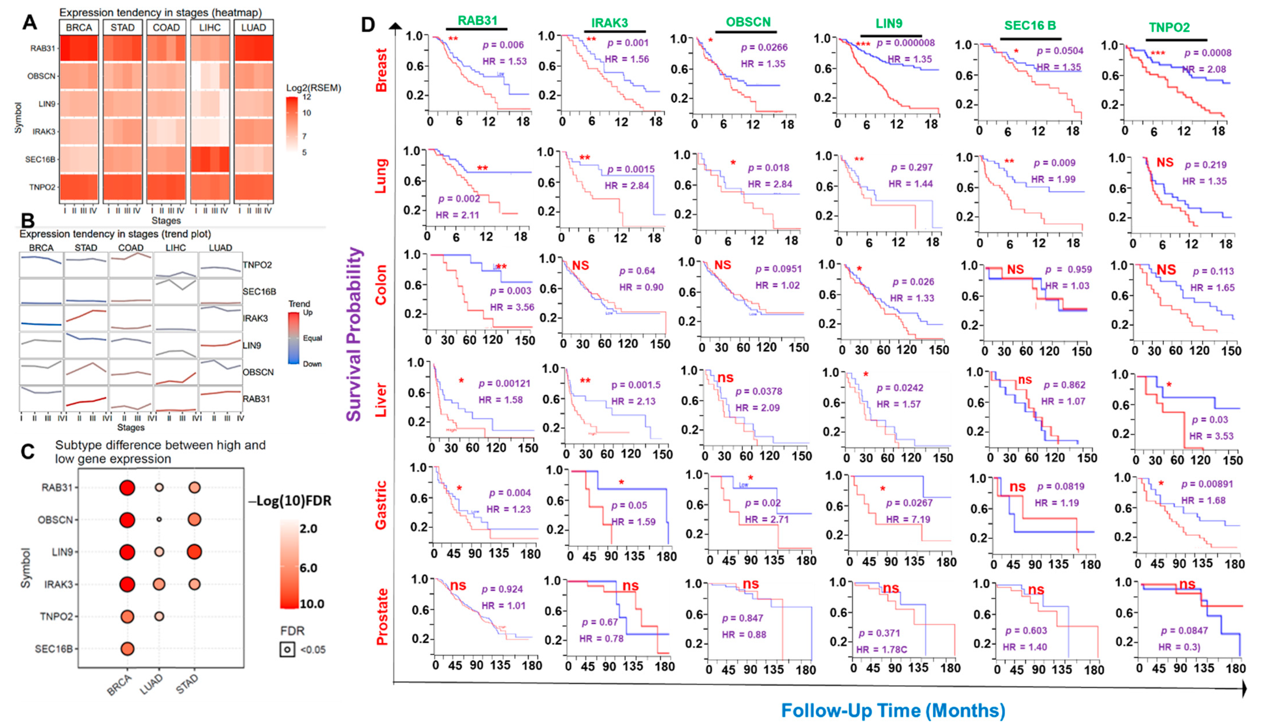 Cancers 13 03847 g003