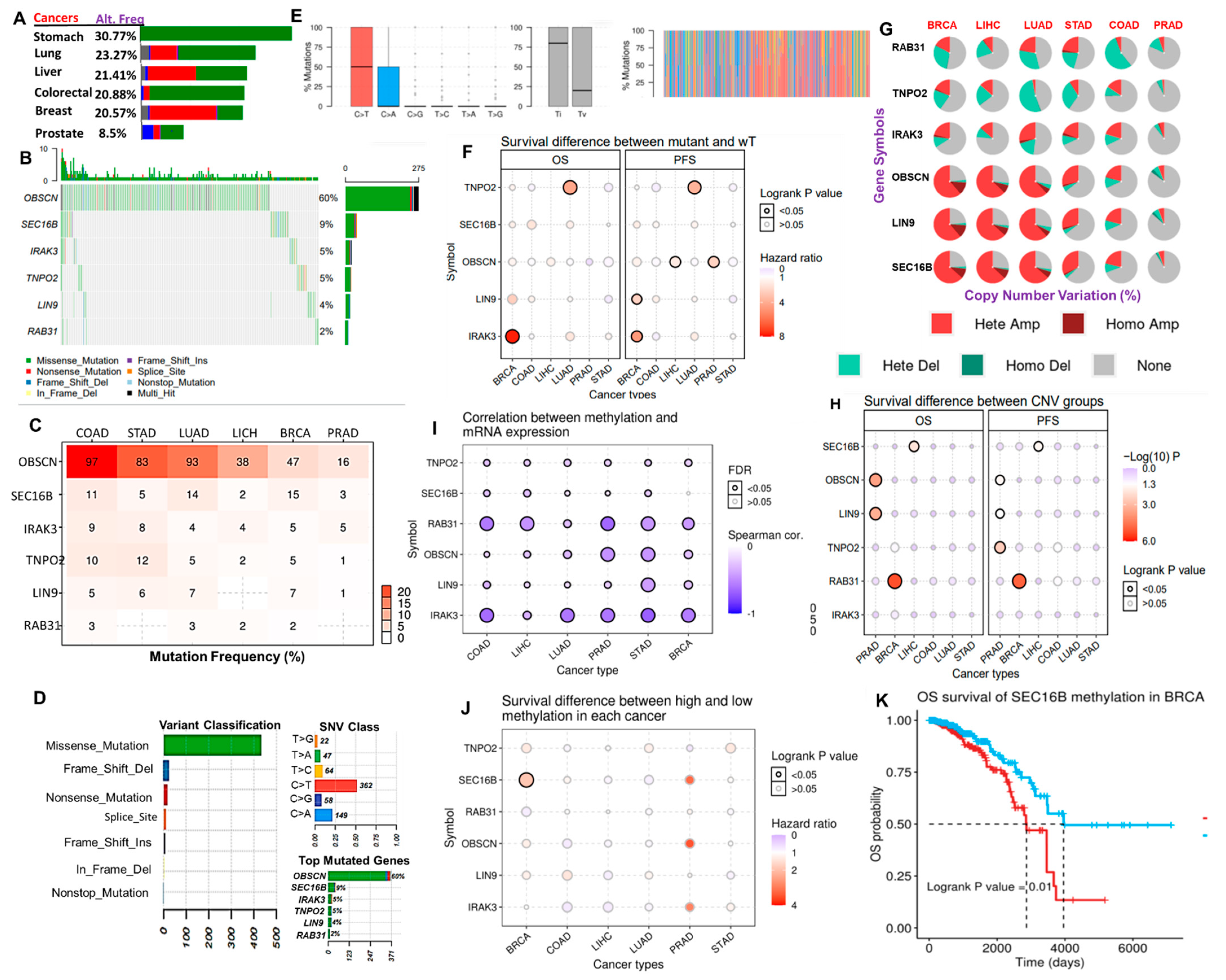 Cancers 13 03847 g005