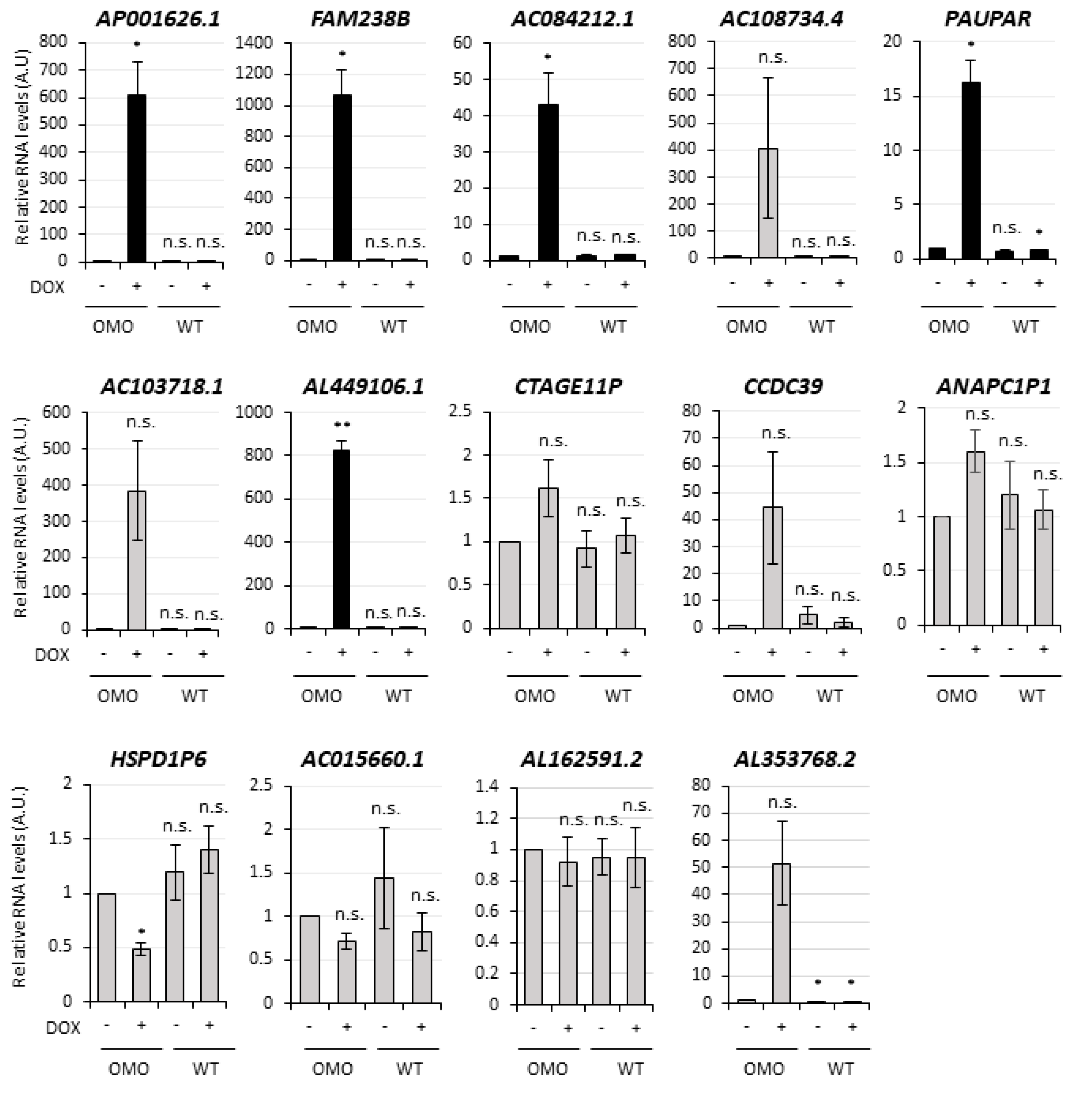 Cancers 13 03853 g004
