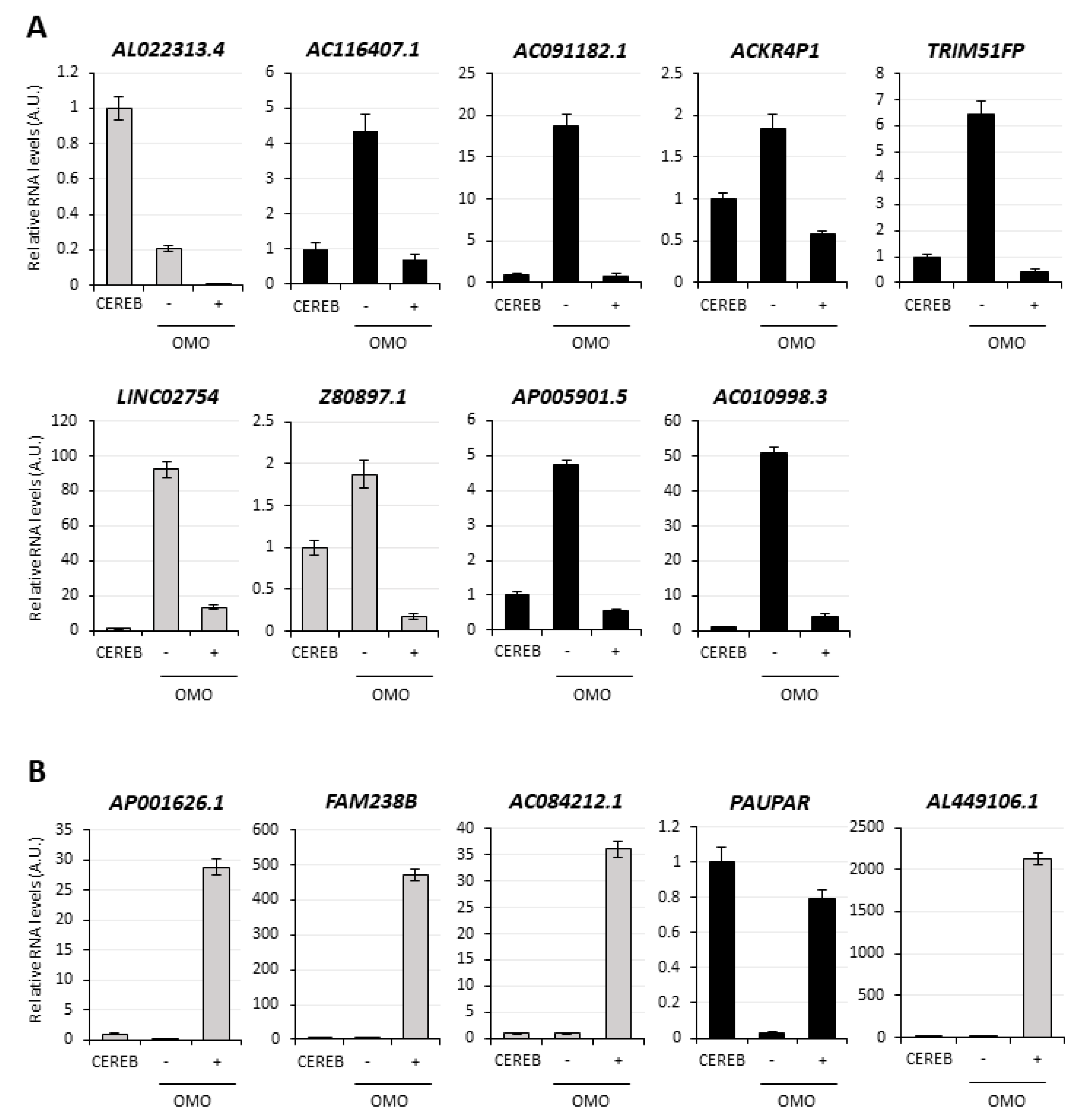 Cancers 13 03853 g005