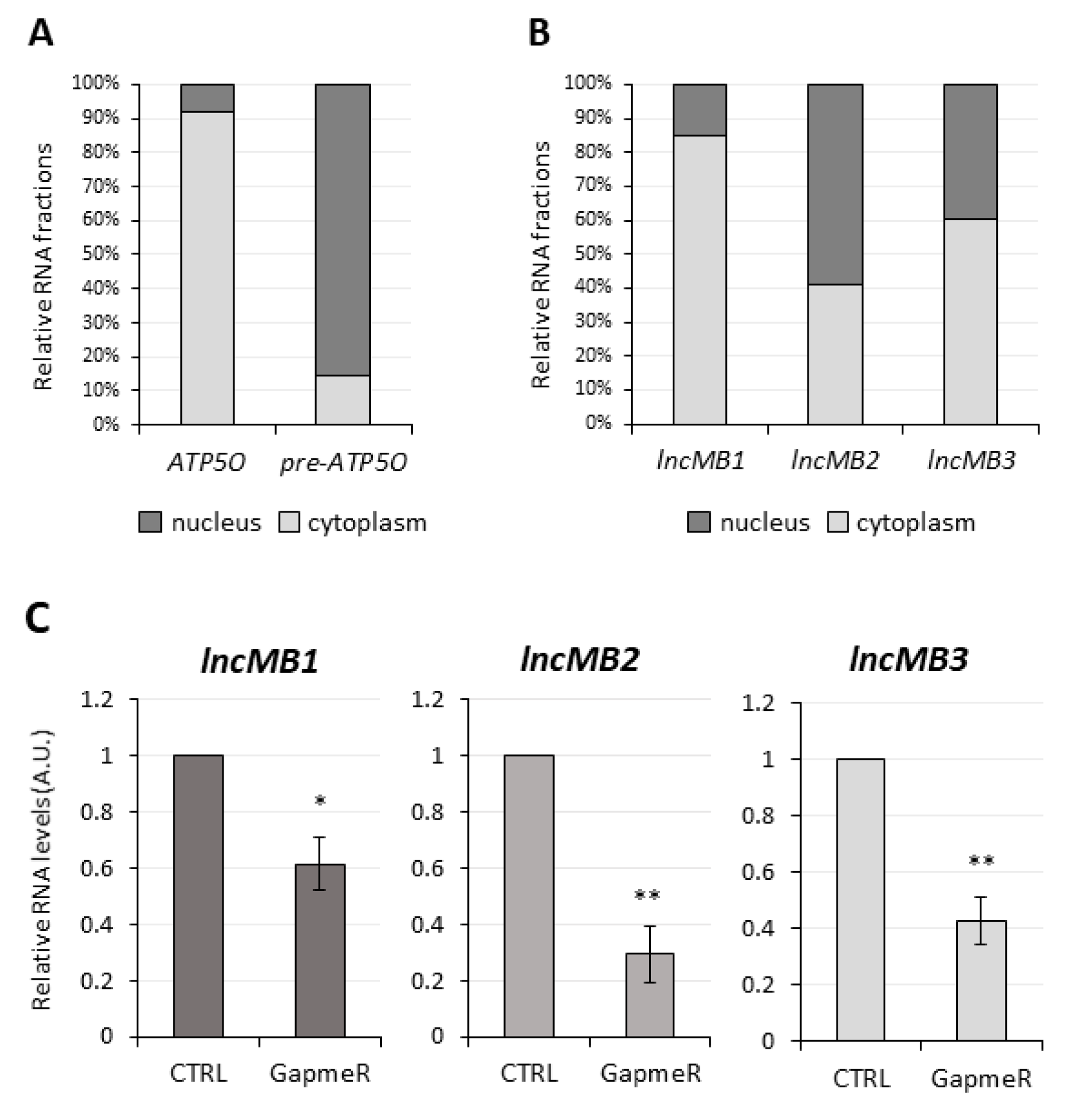 Cancers 13 03853 g007