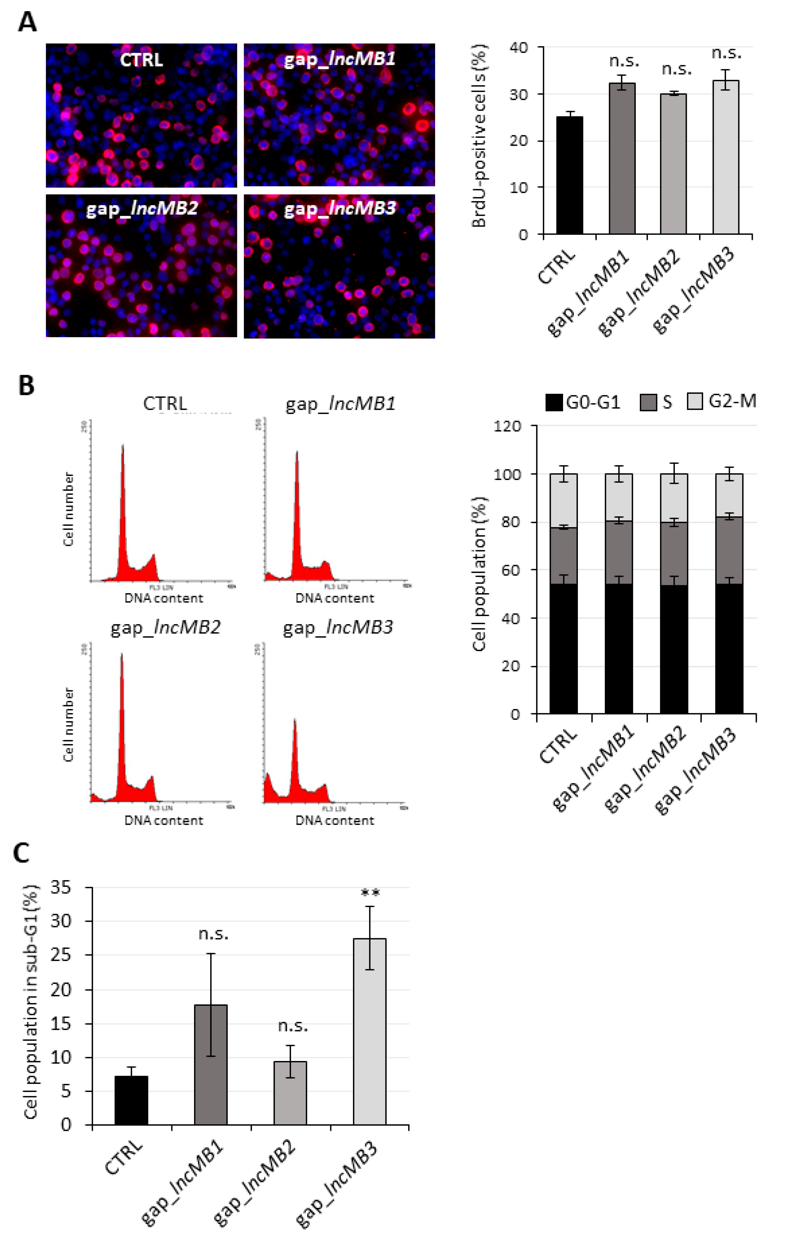 Cancers 13 03853 g009