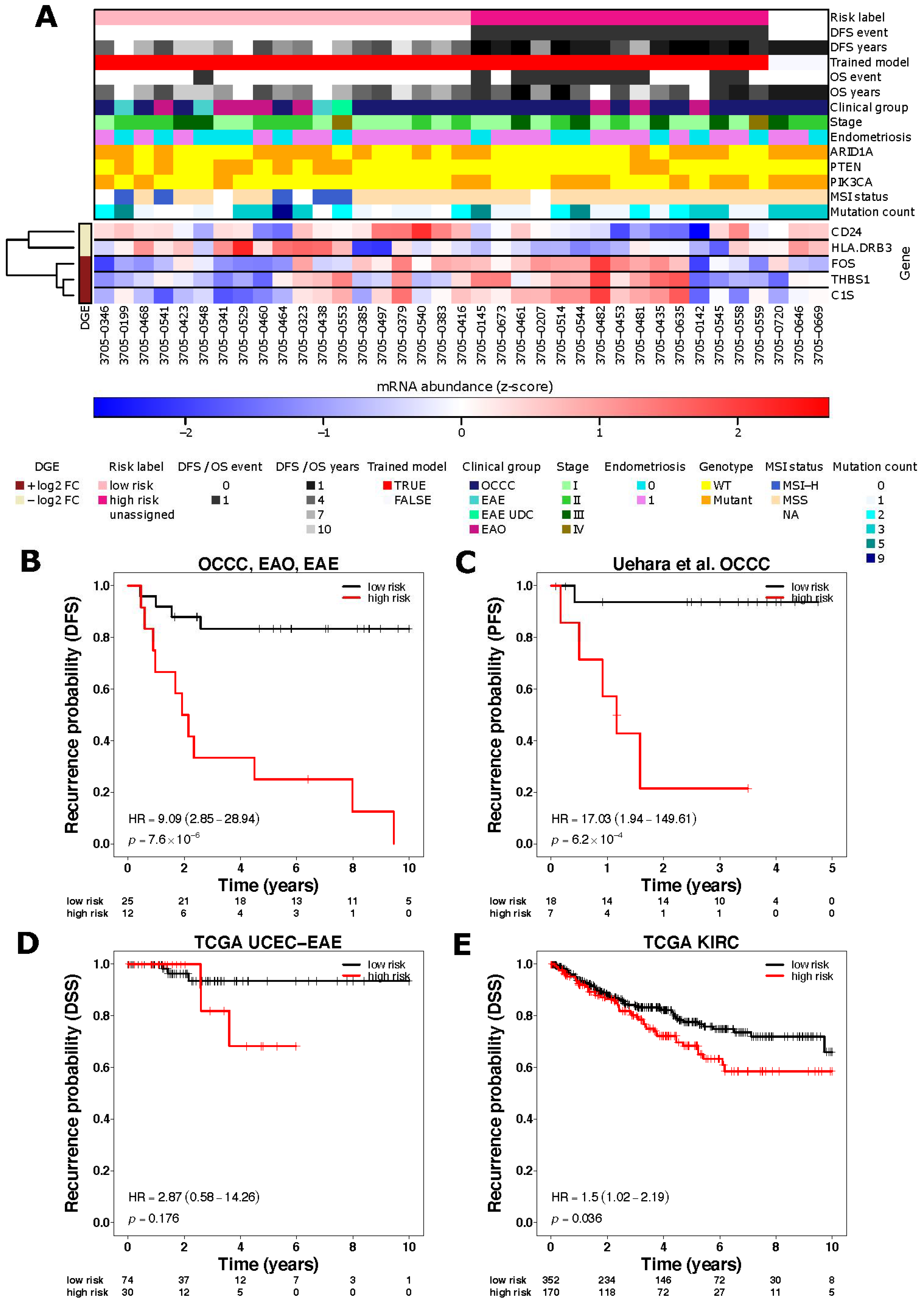 Cancers 13 03854 g002