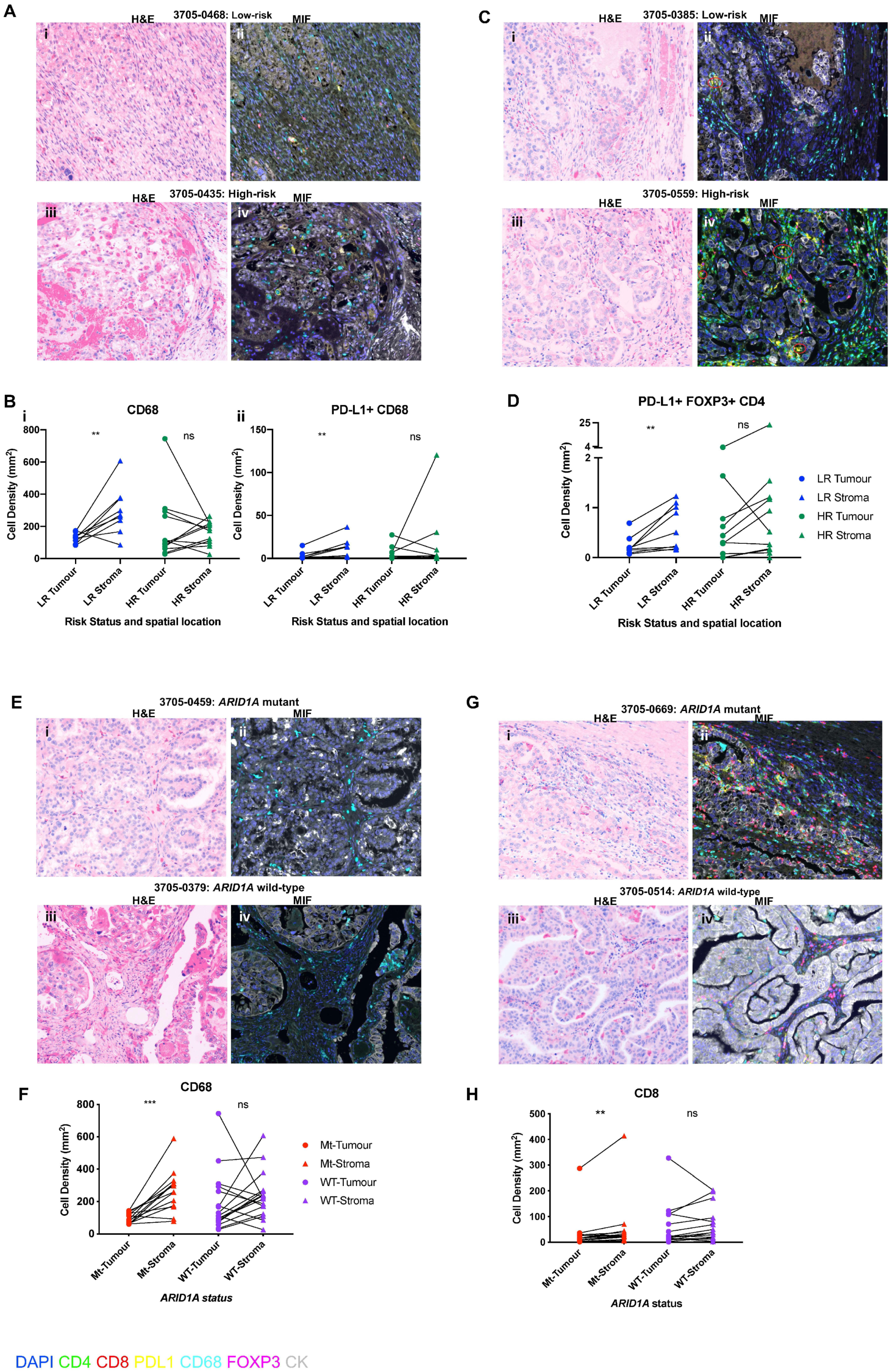 Cancers 13 03854 g004