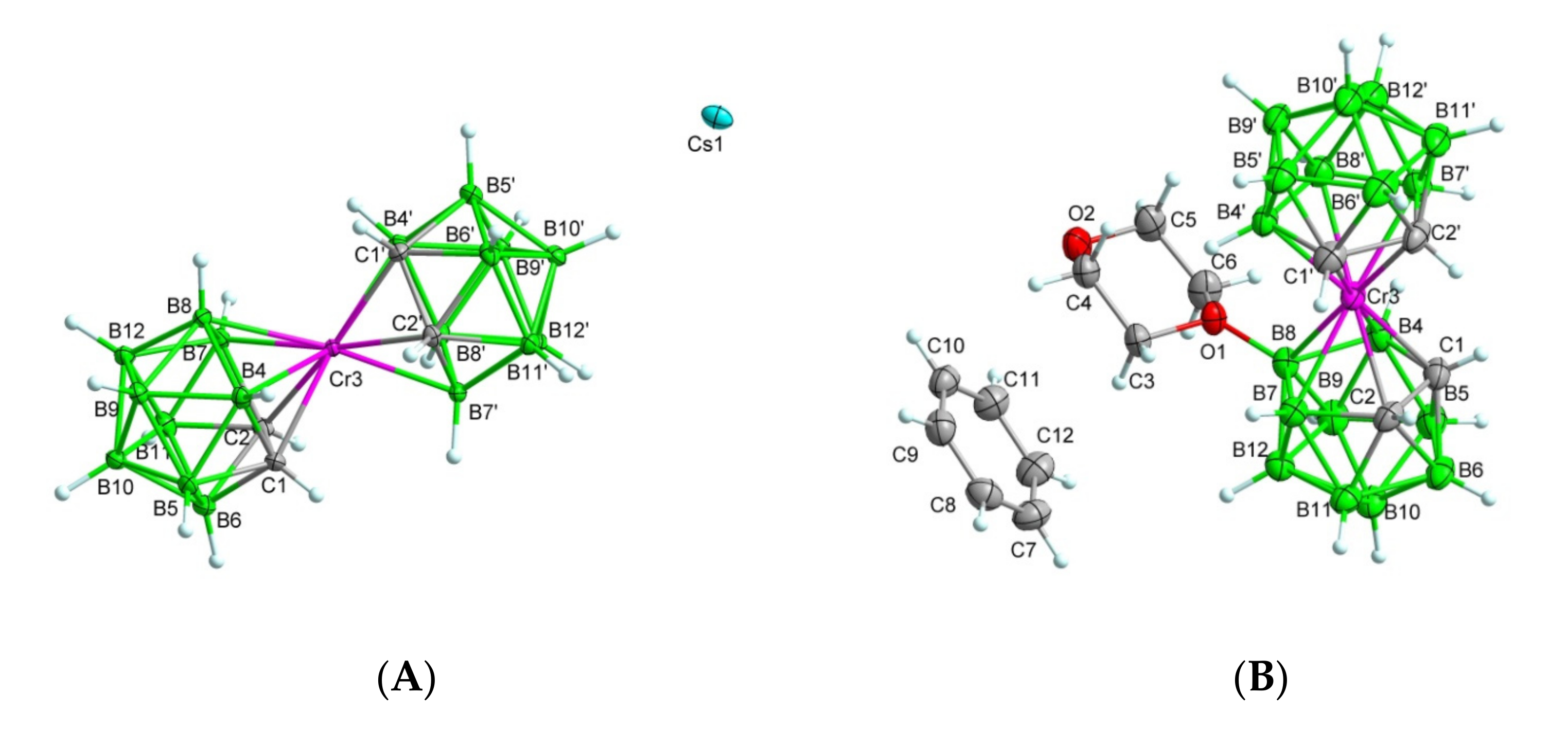 Cancers 13 03855 g013 Cancers 13 03855 g013