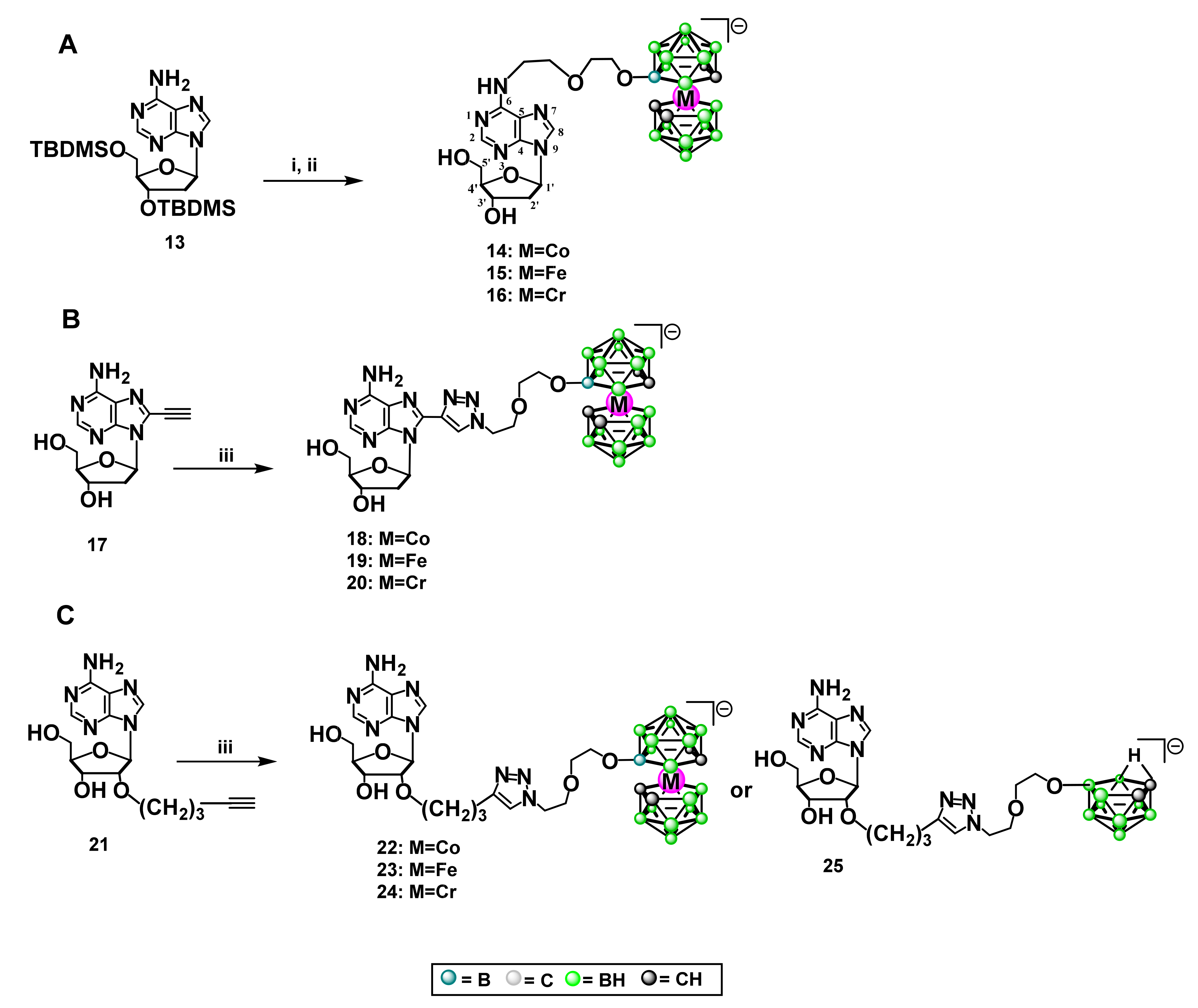 Cancers 13 03855 sch003 Cancers 13 03855 sch003