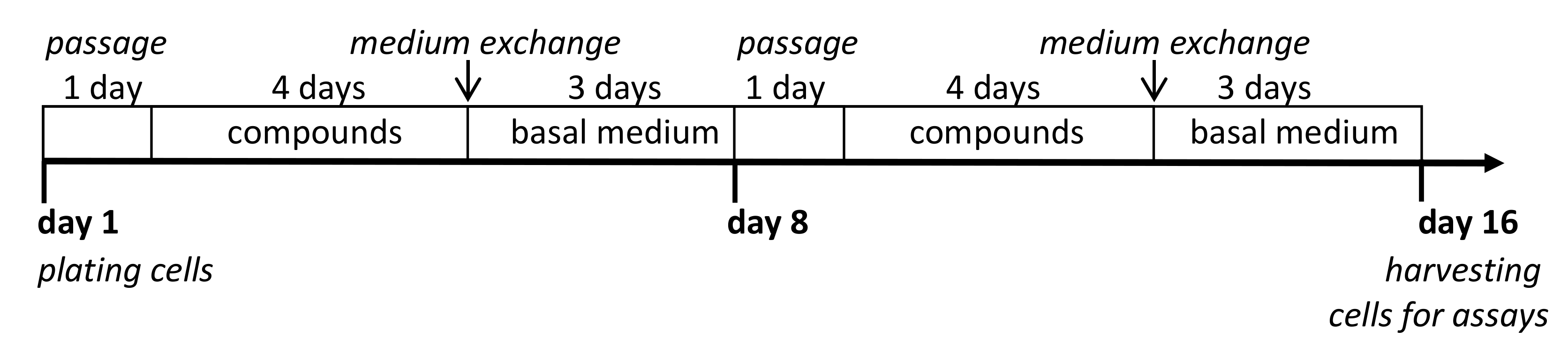 Cancers 13 03855 sch004 Cancers 13 03855 sch004