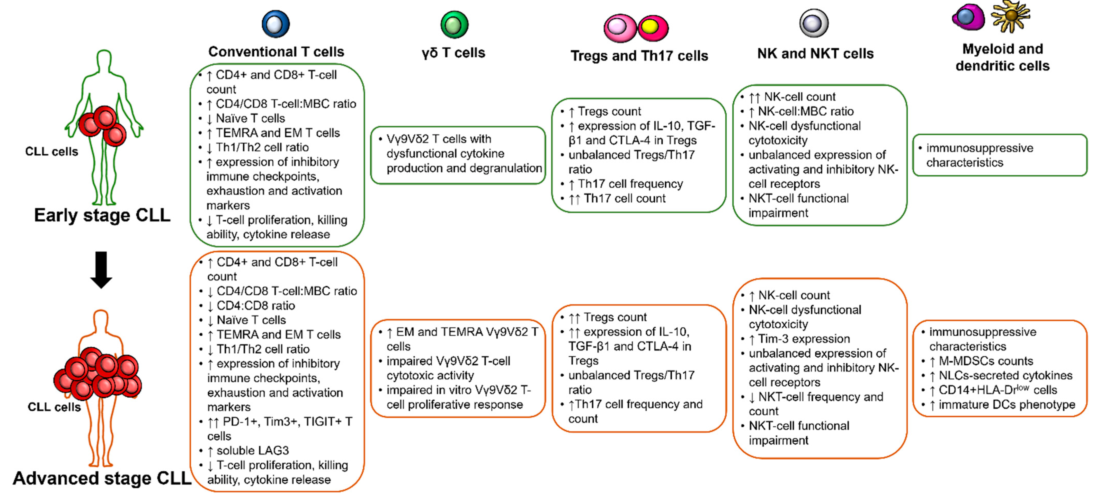 Cancers 13 03856 g001 Cancers 13 03856 g001