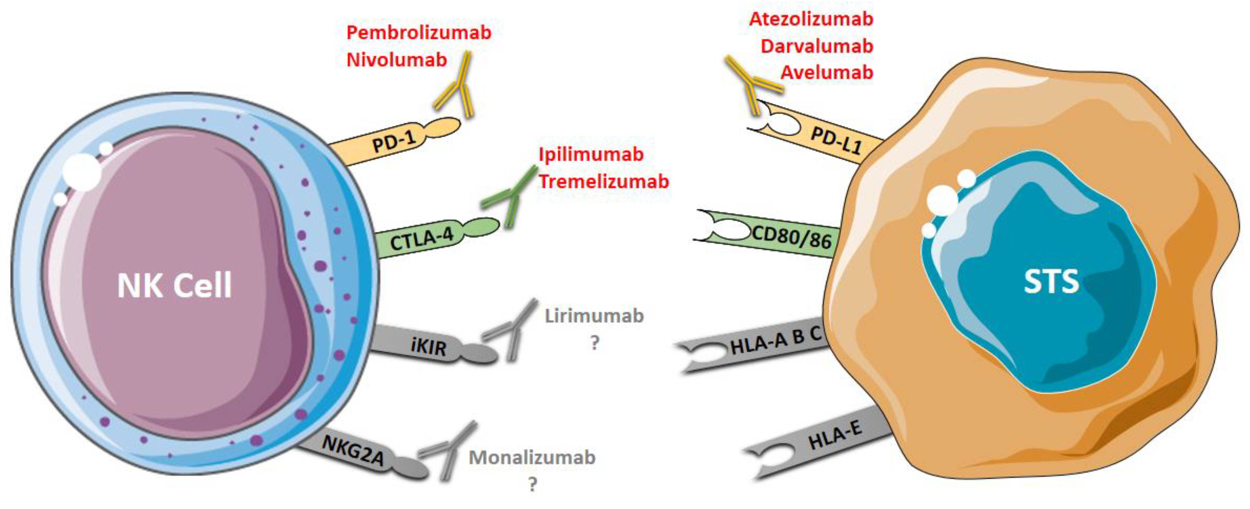 Cancers 13 03865 g002