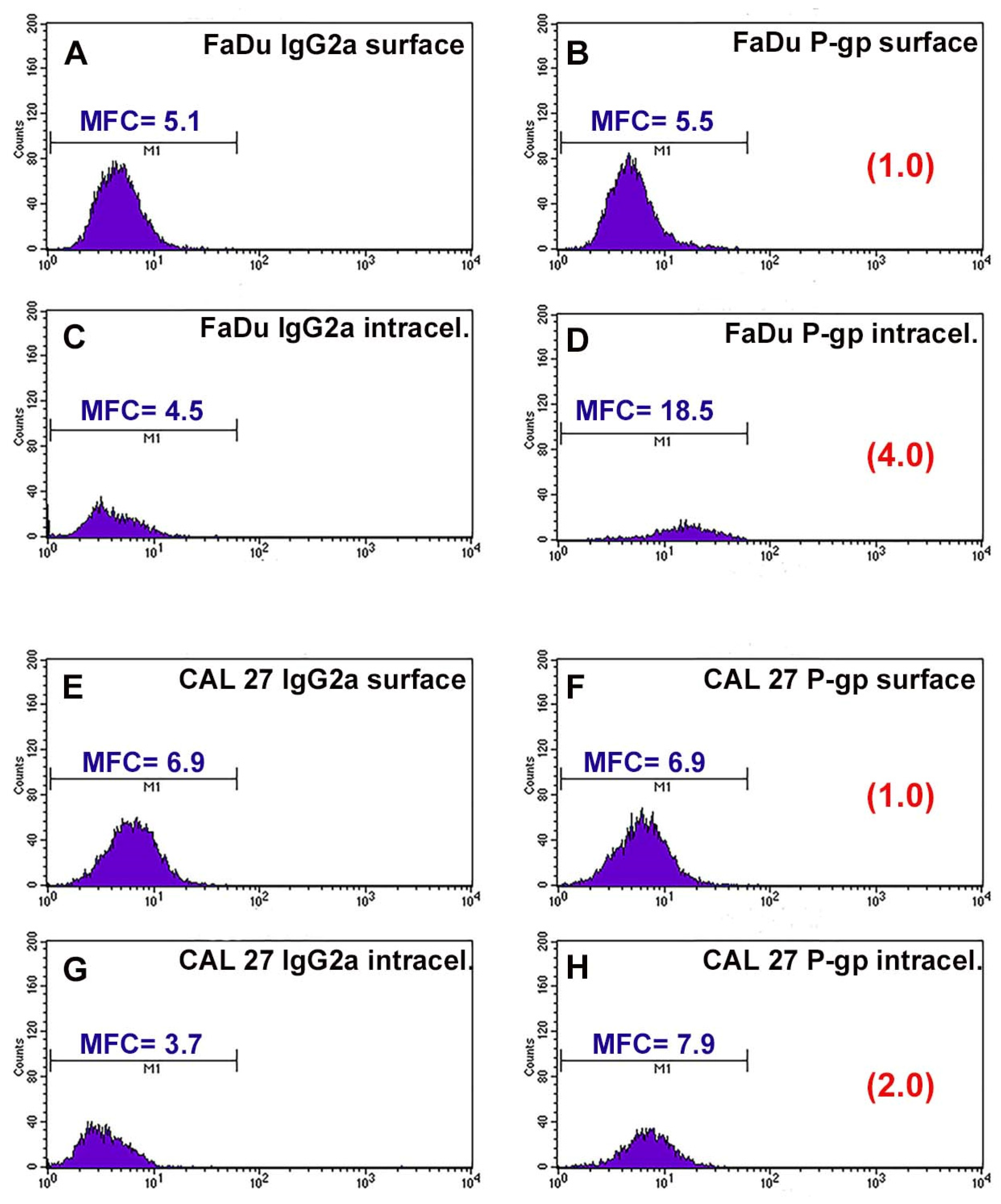 Cancers 13 03867 g001 Cancers 13 03867 g001