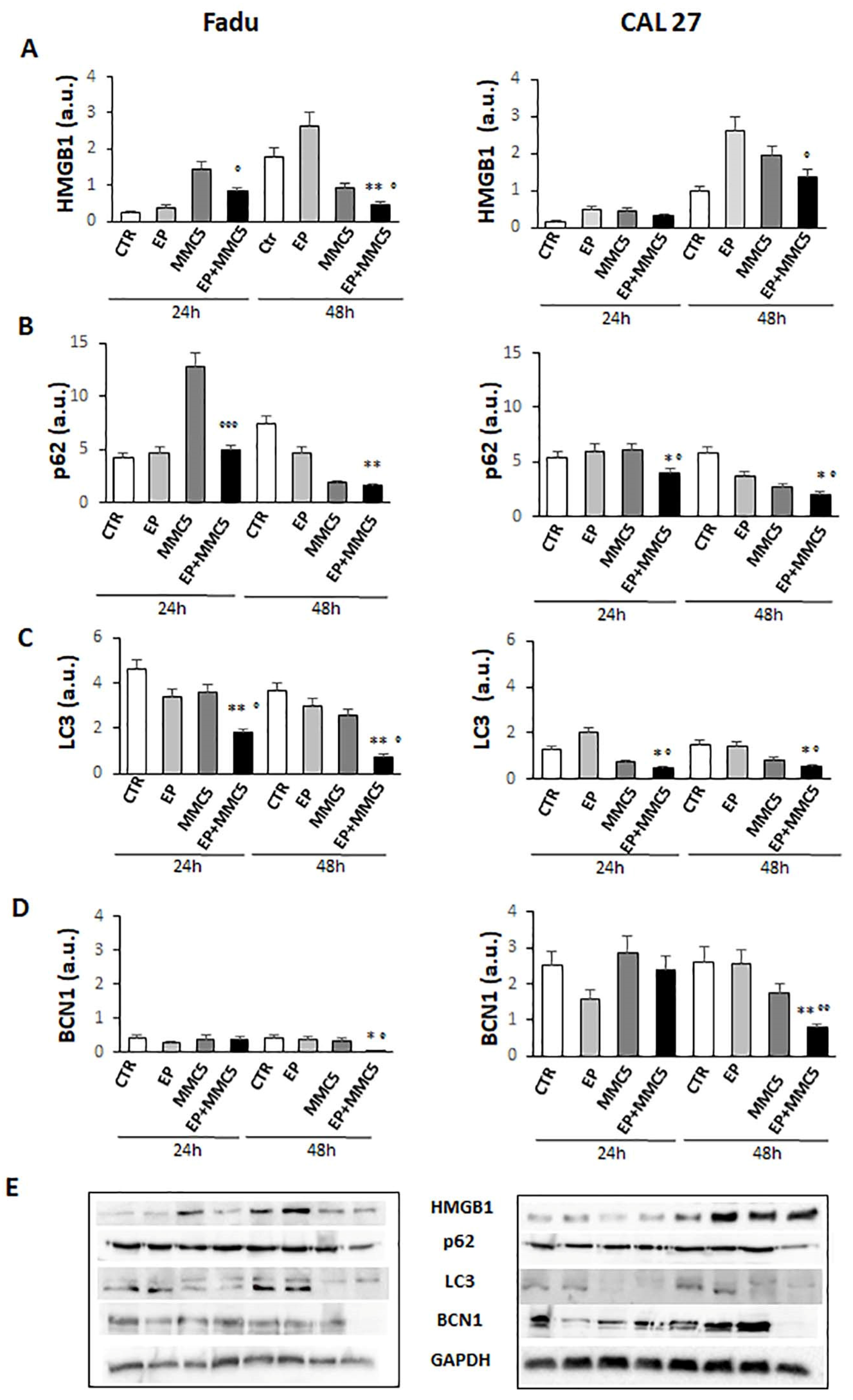 Cancers 13 03867 g011 Cancers 13 03867 g011