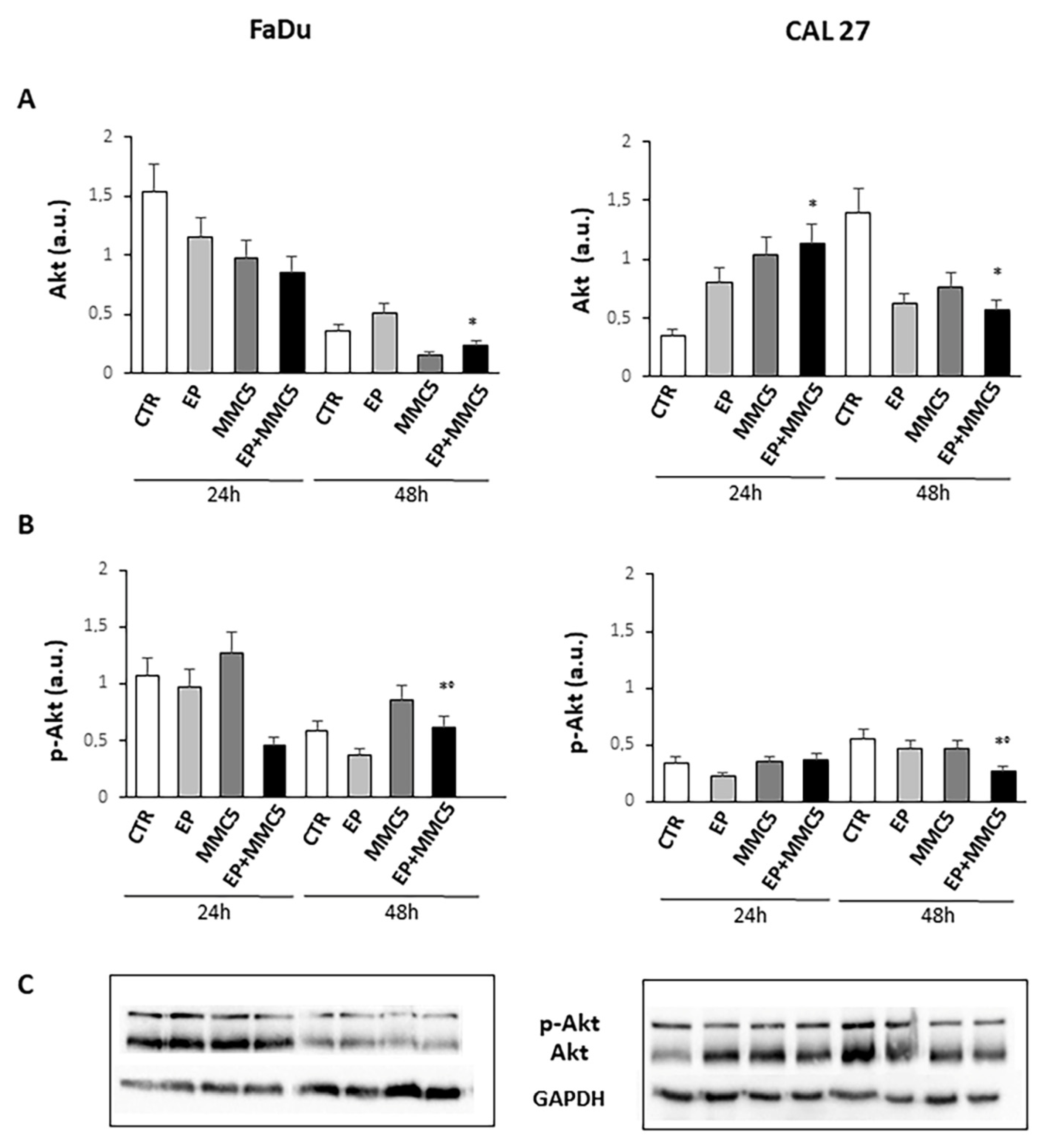Cancers 13 03867 g012 Cancers 13 03867 g012