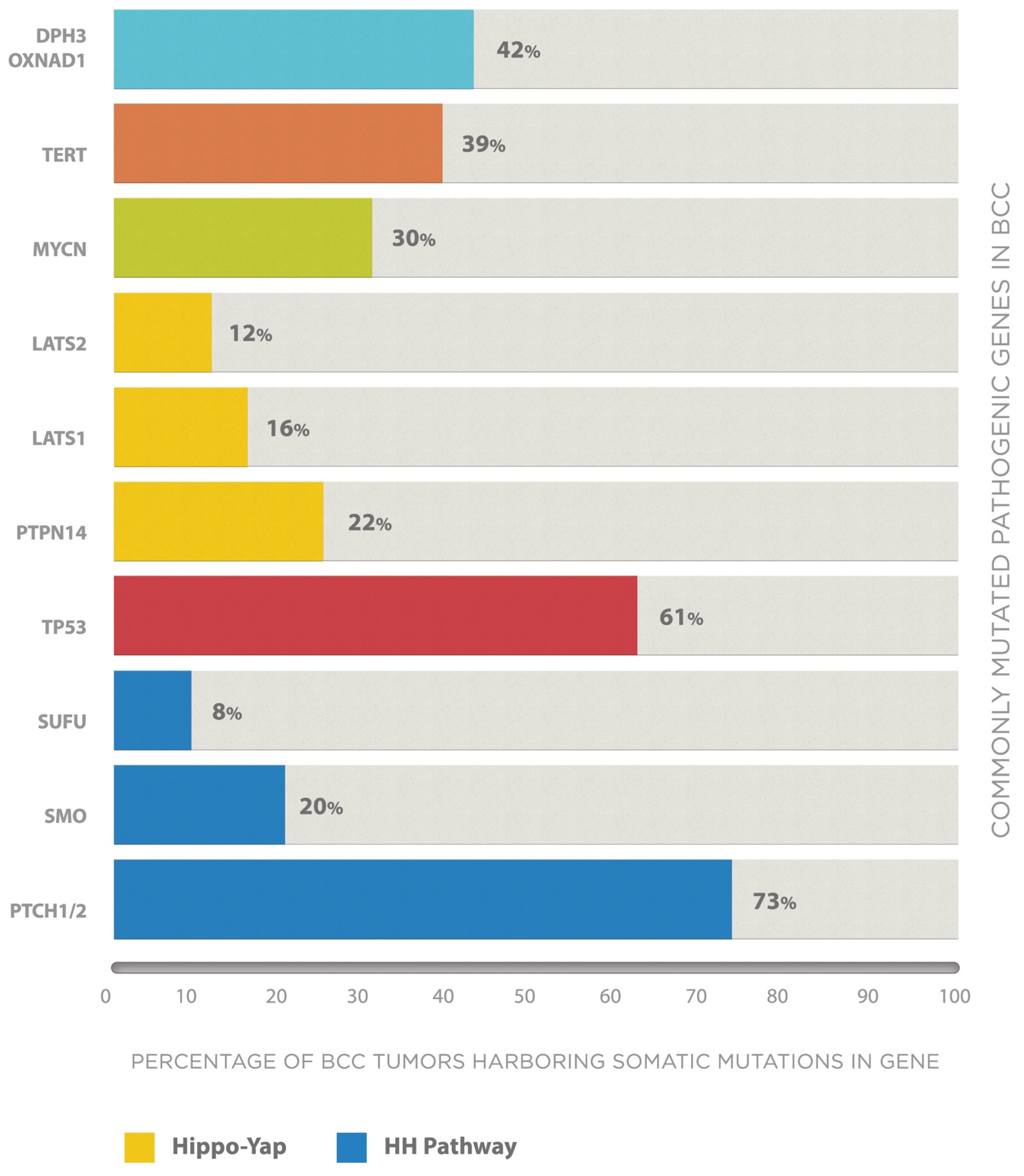Cancers 13 03870 g003 550