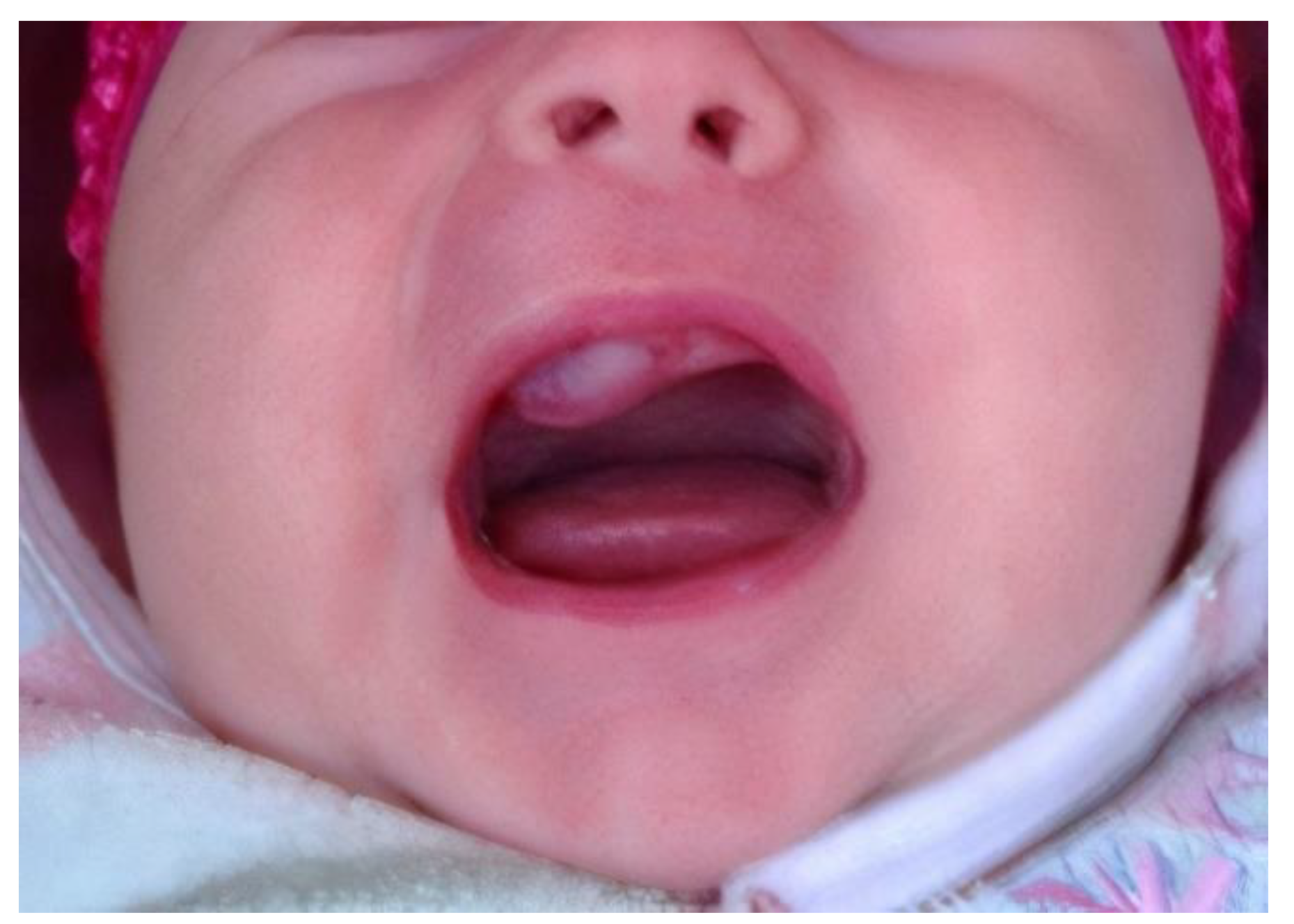 Cancers 13 03872 g001