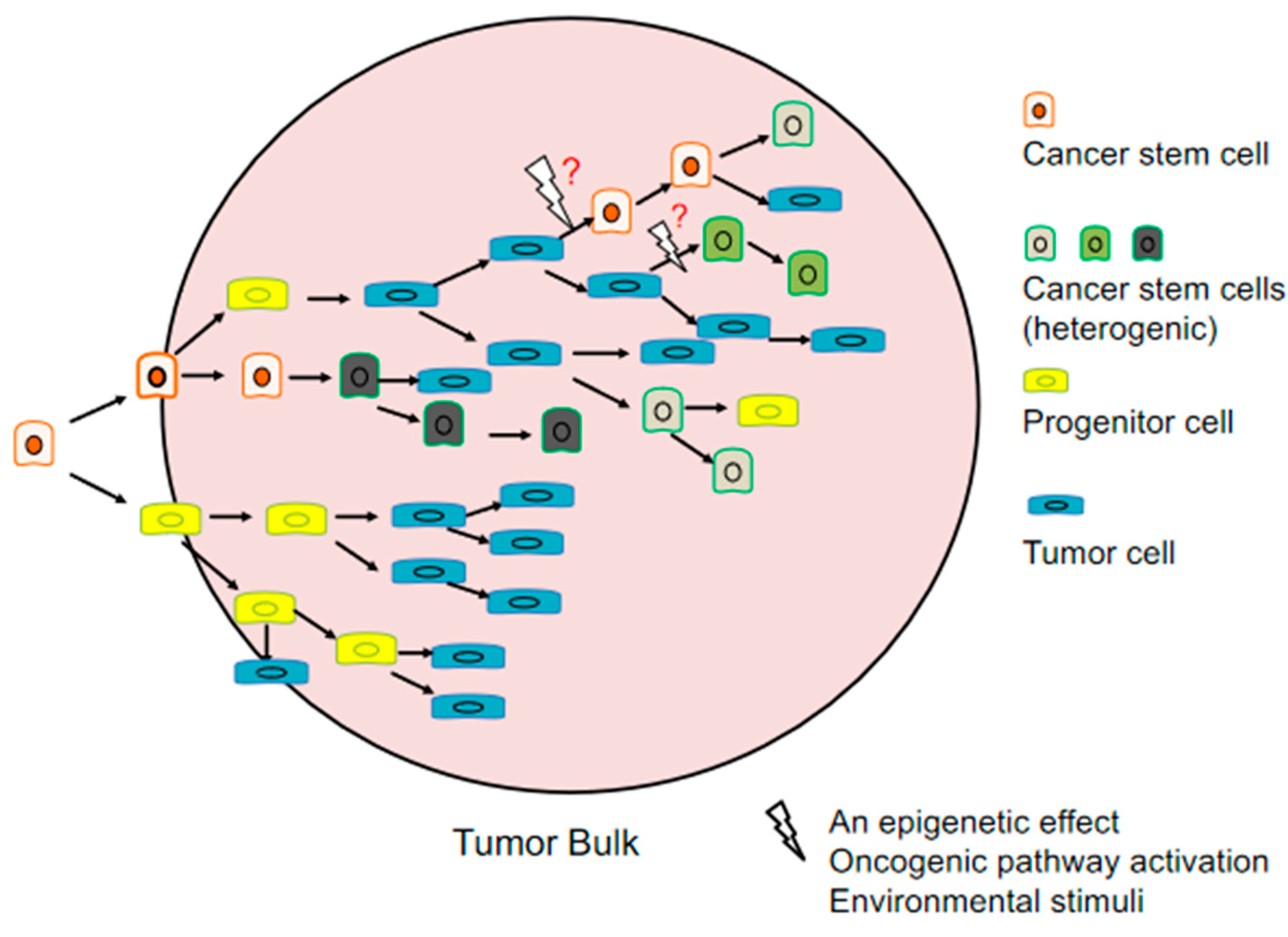 Cancers 13 03878 g001