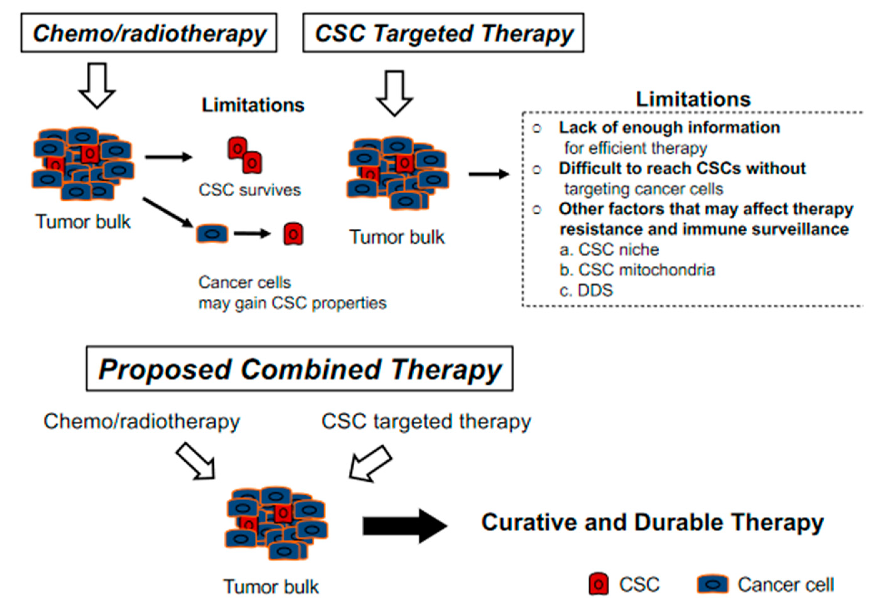 Cancers 13 03878 g002