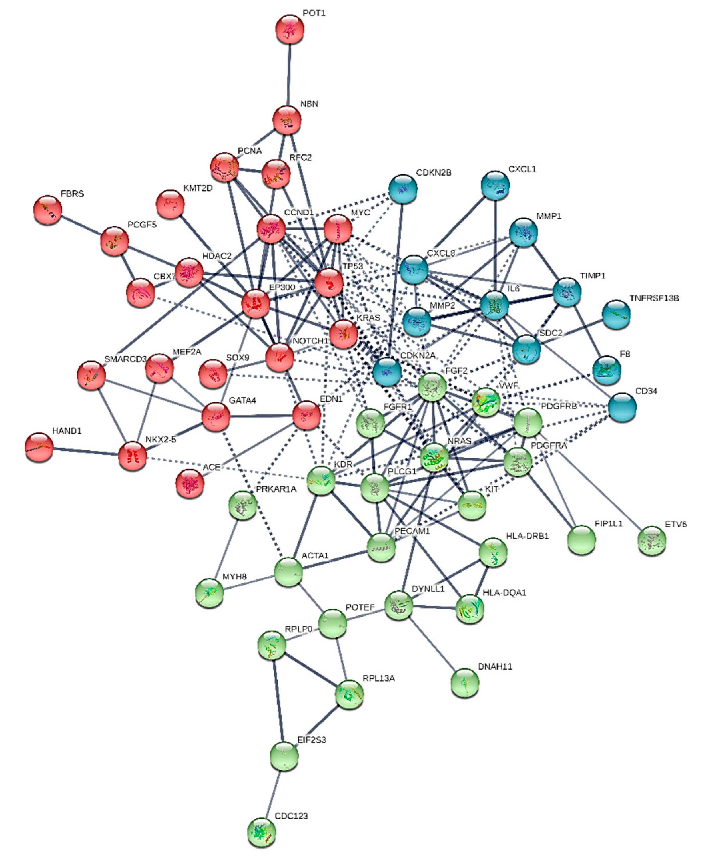 Cancers 13 03882 g001 Cancers 13 03882 g001