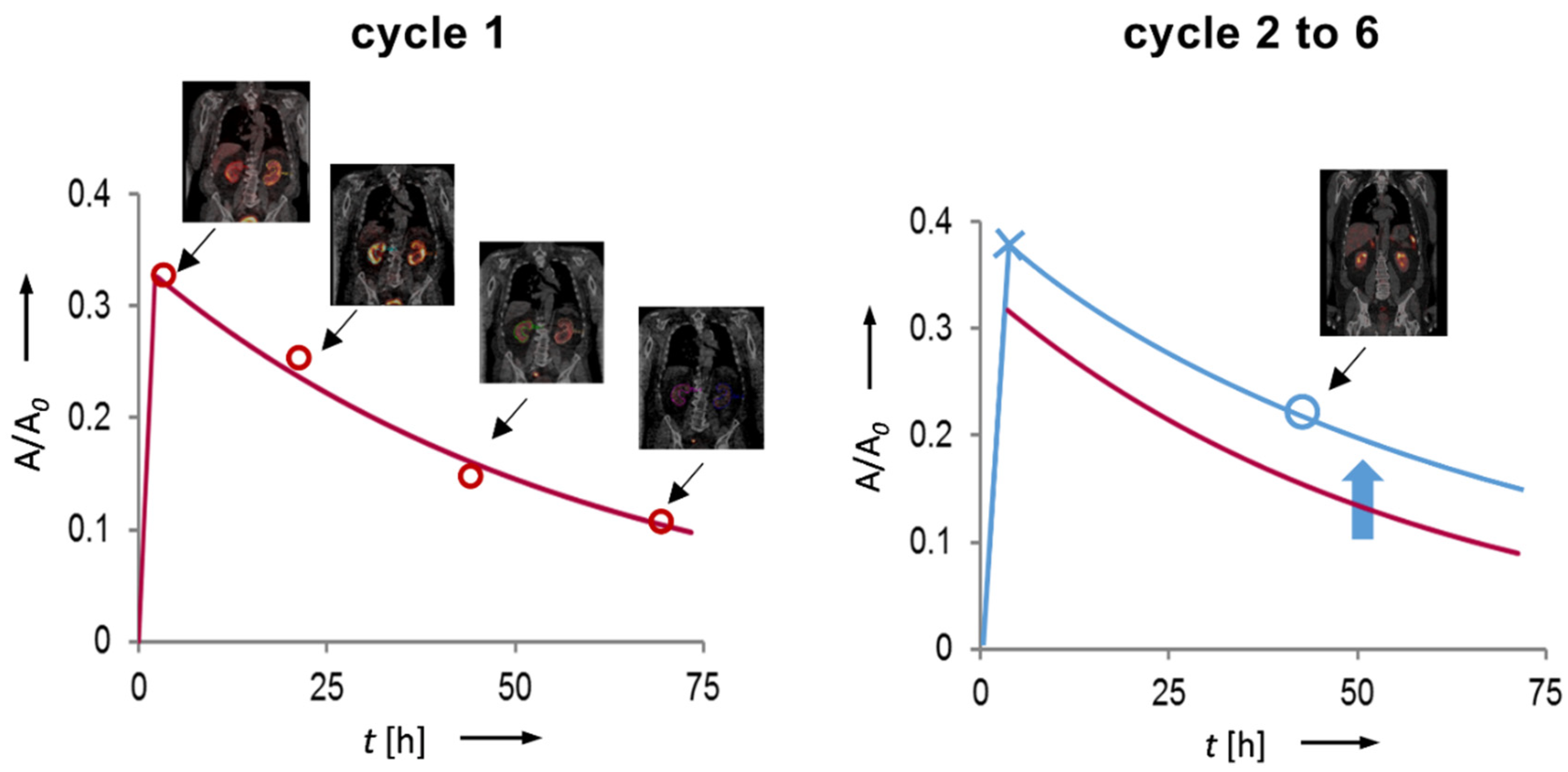 Cancers | Free Full-Text | Streamlined Schemes for Dosimetry of  177Lu-Labeled PSMA Targeting Radioligands in Therapy of Prostate Cancer