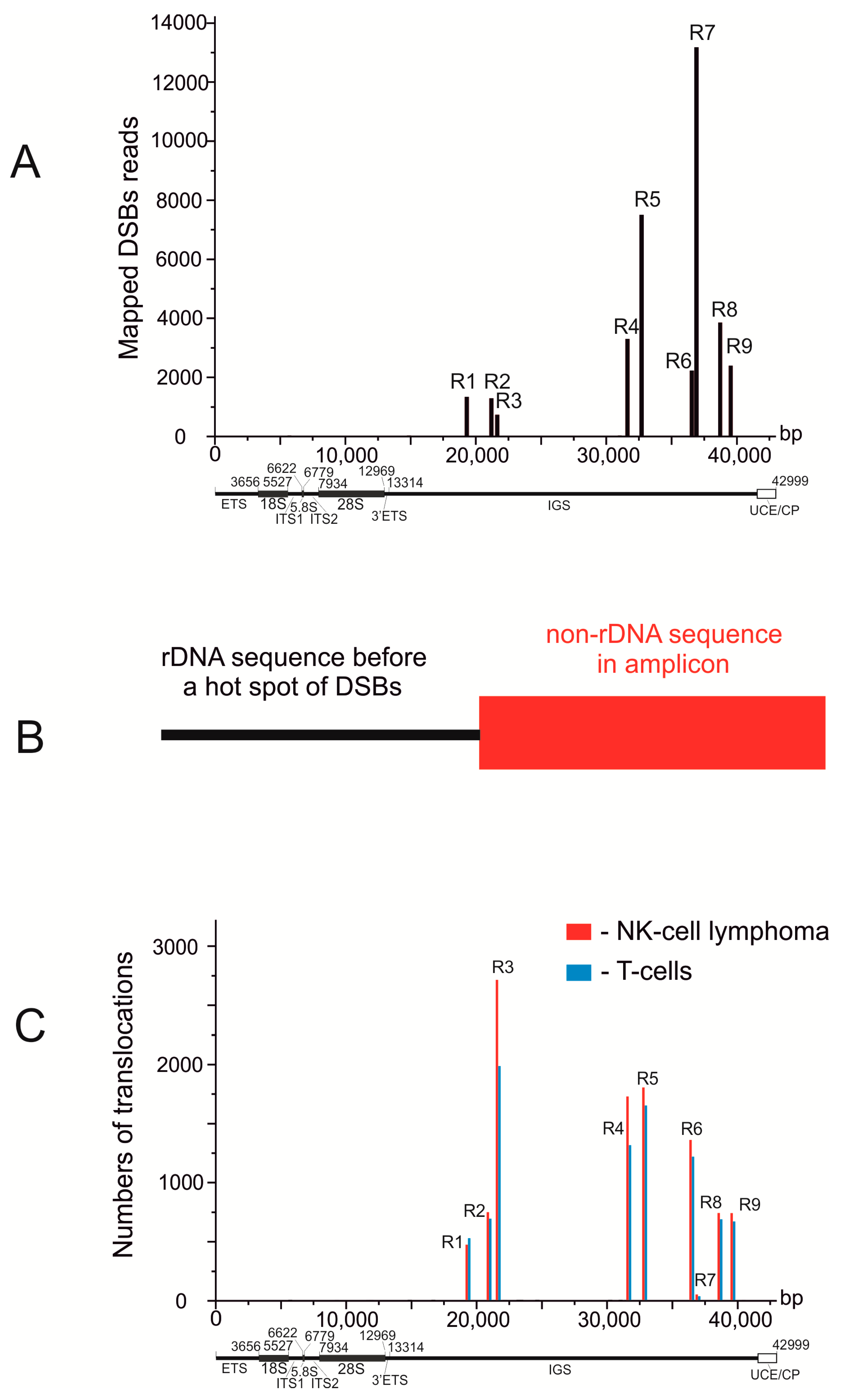 Cancers 13 03889 g001