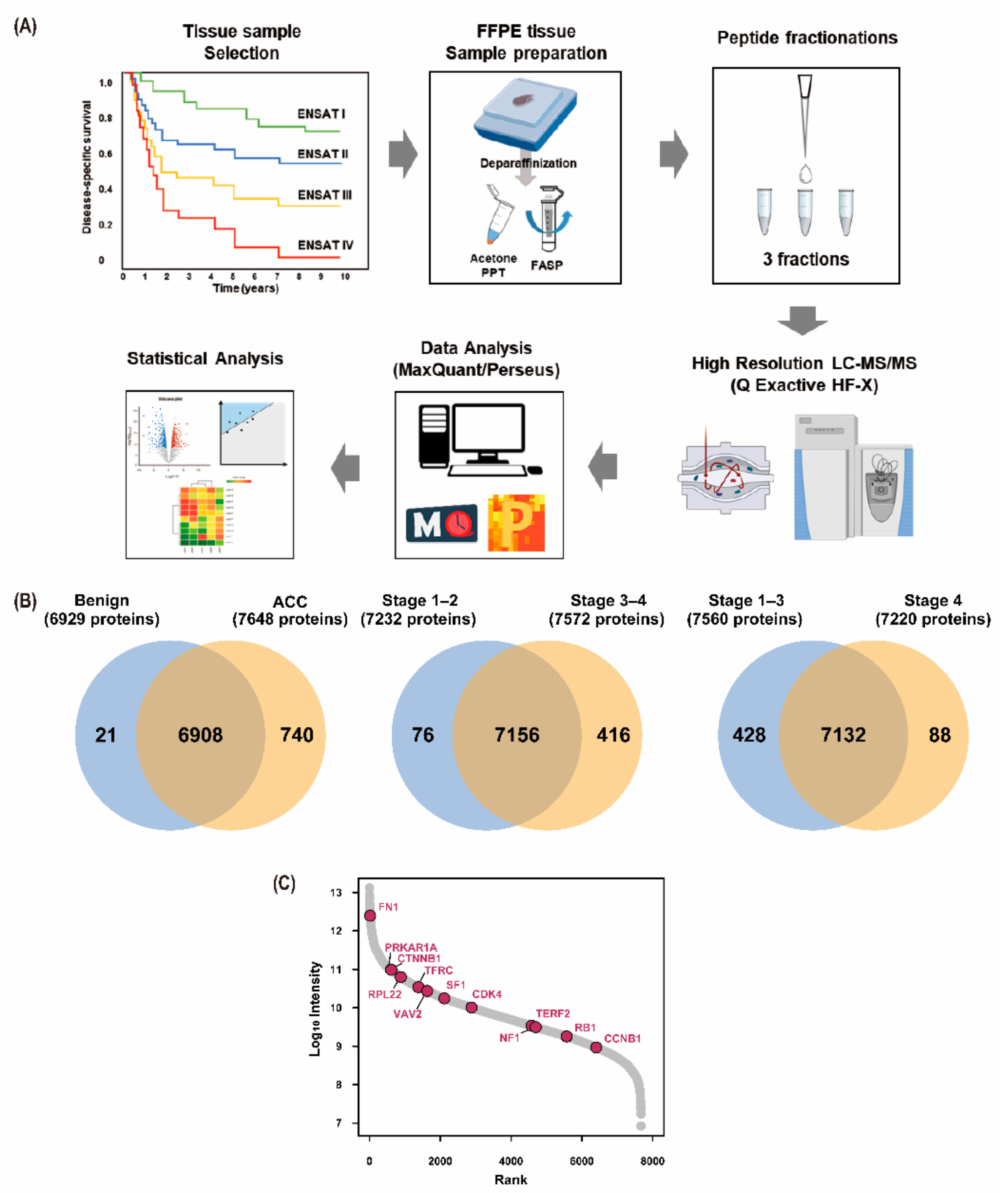 Cancers 13 03890 g001 550