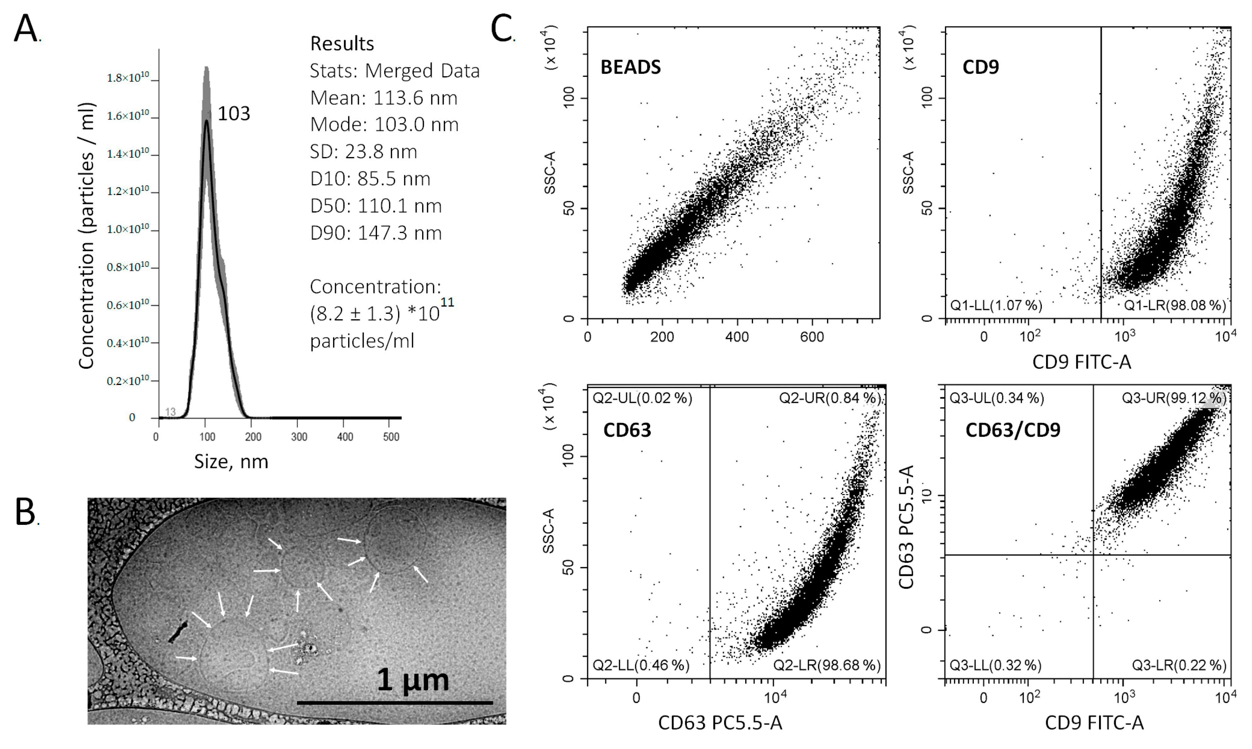Cancers 13 03905 g001 550