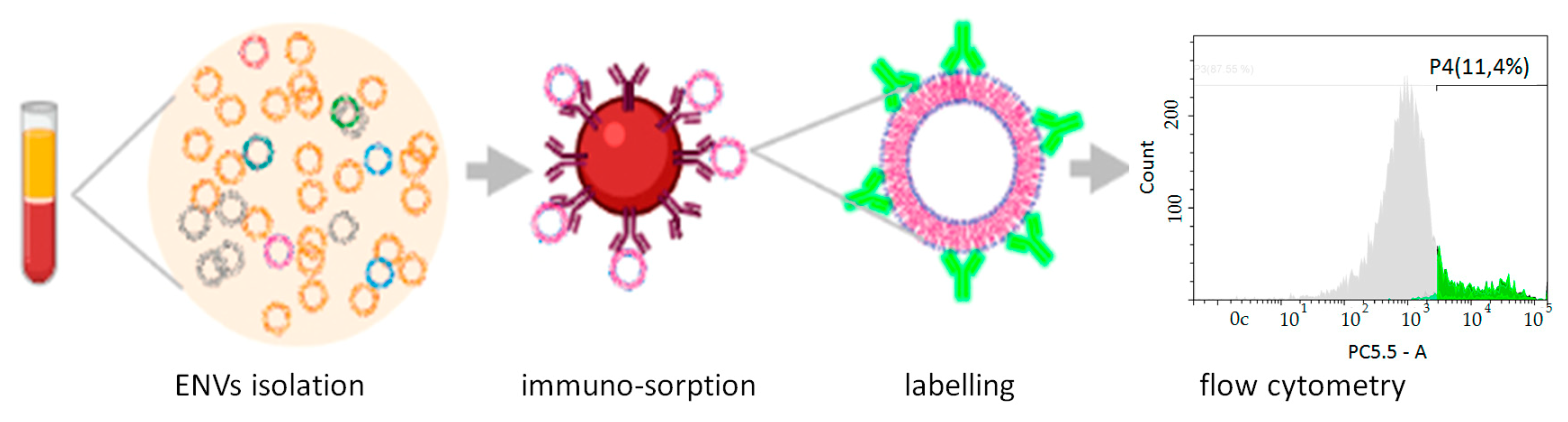 Cancers 13 03905 g002 550