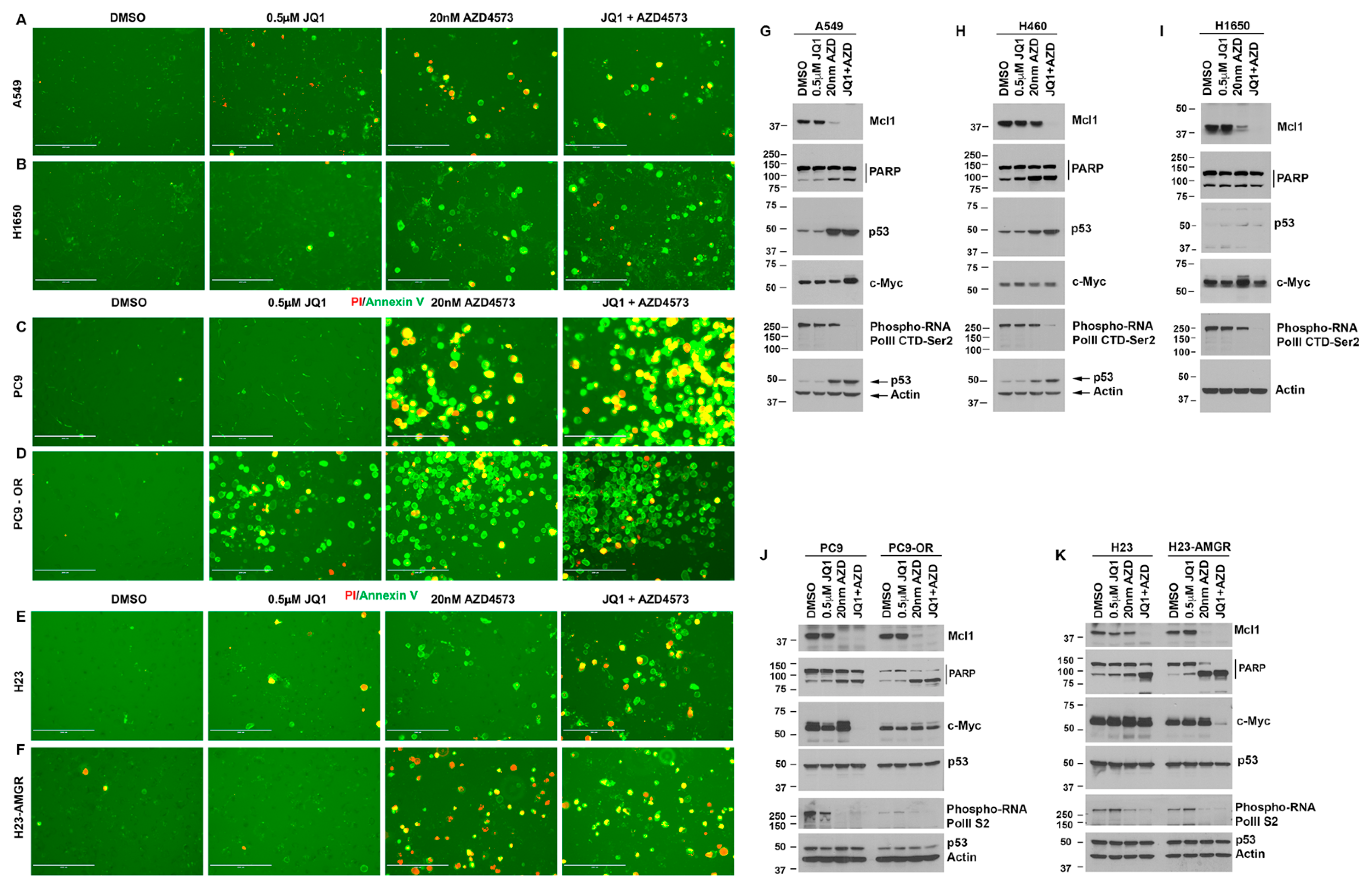 Cancers 13 03906 g006 550