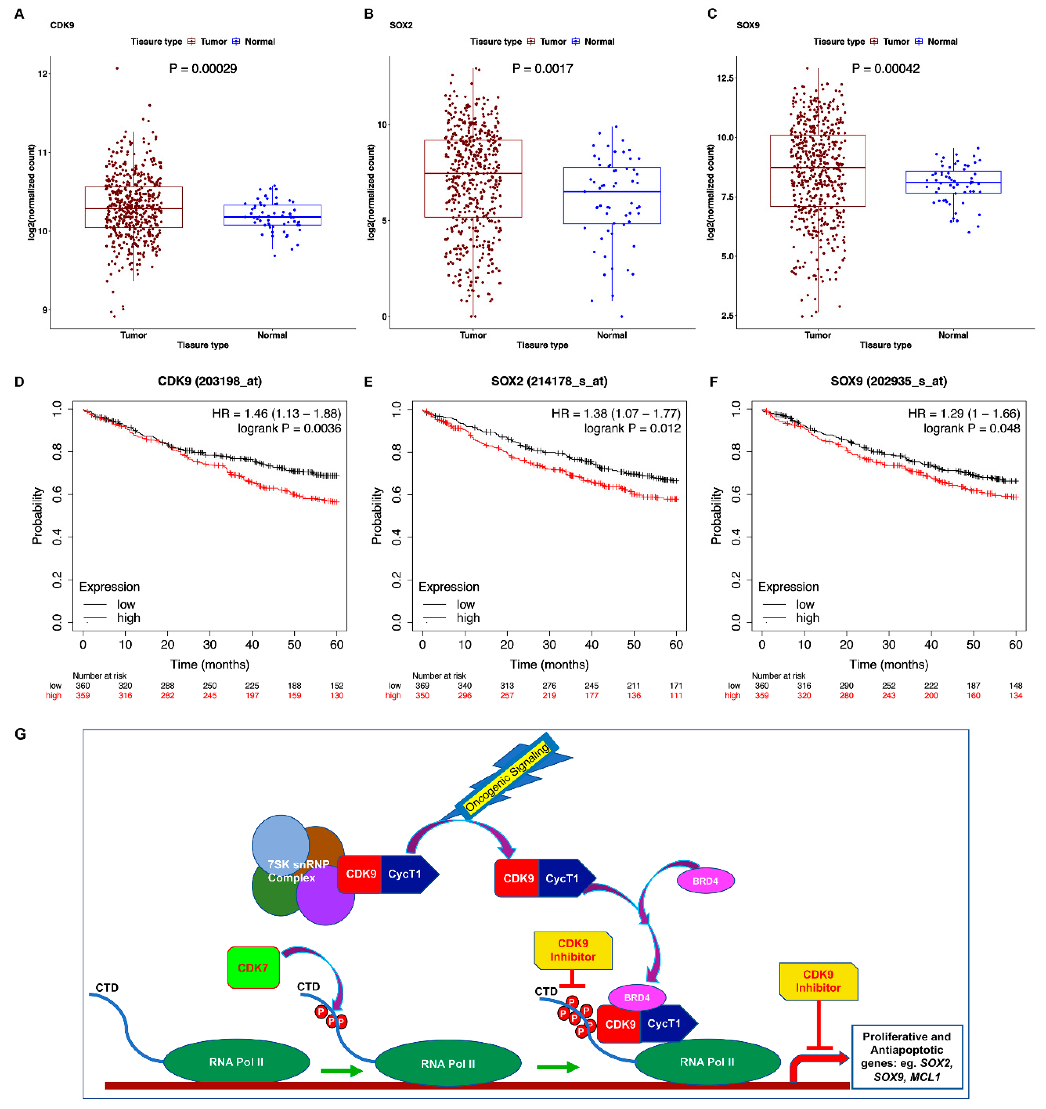 Cancers 13 03906 g008 550