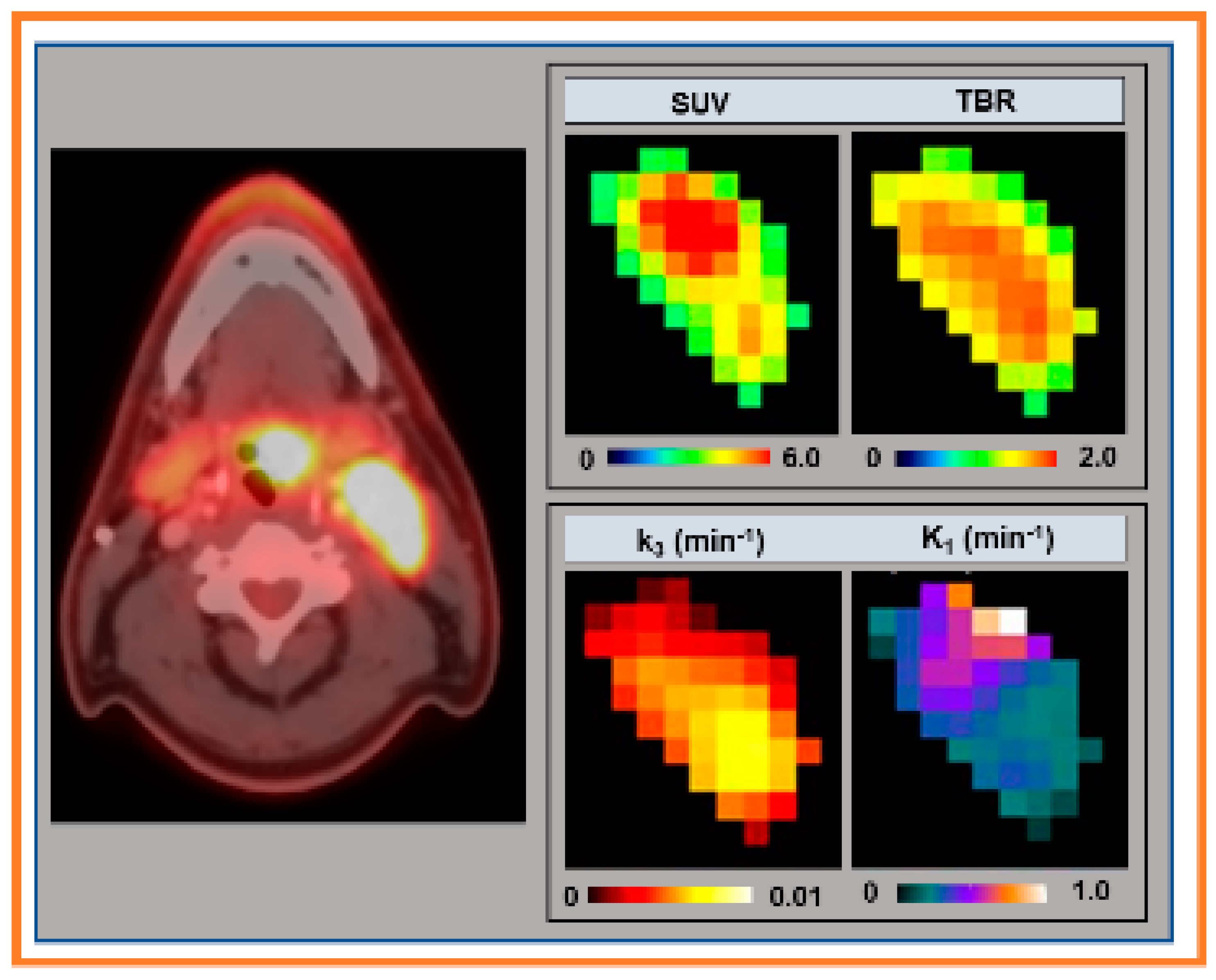 Cancers 13 03908 g003 Cancers 13 03908 g003