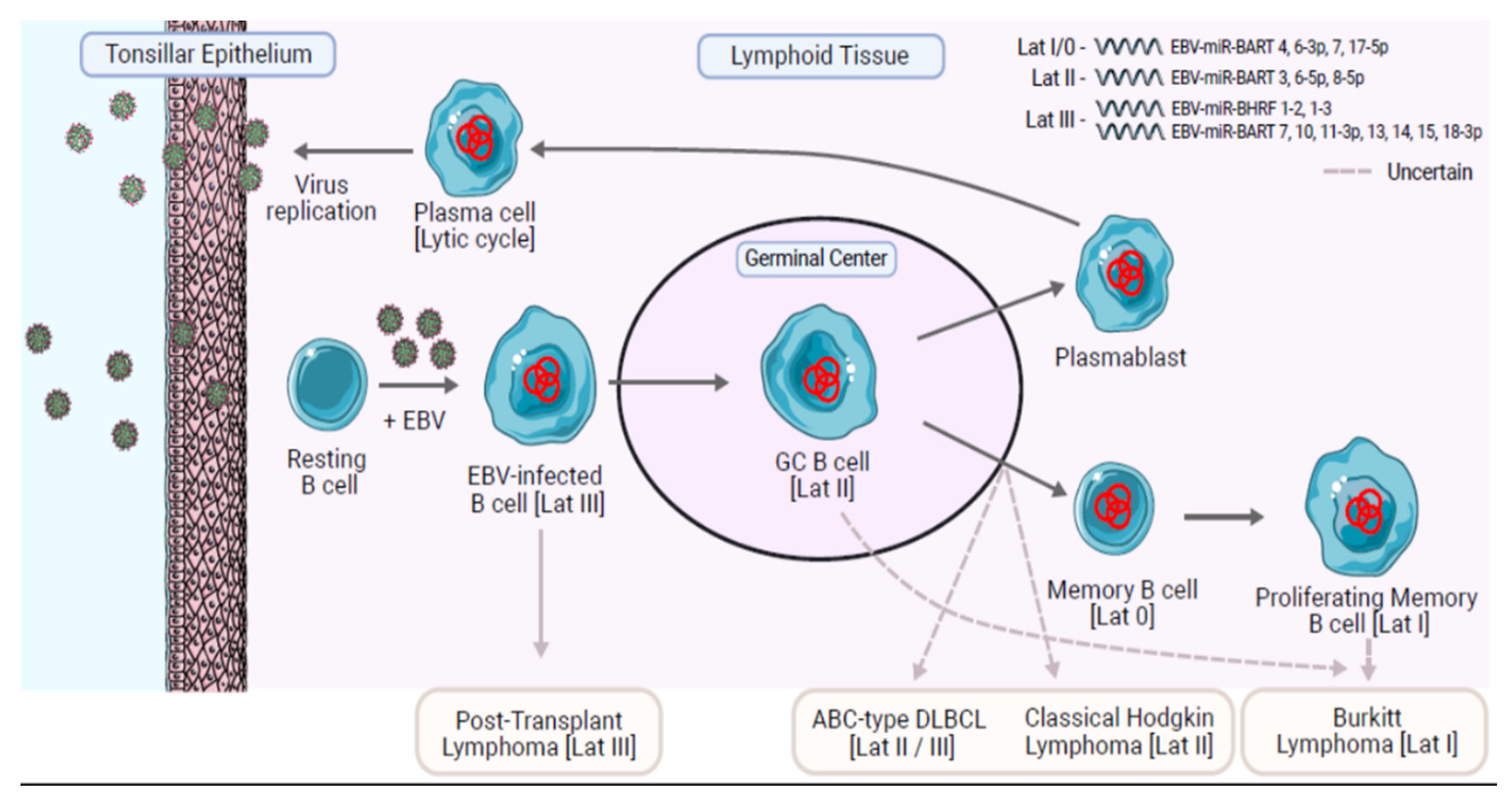 Cancers 13 03909 g001