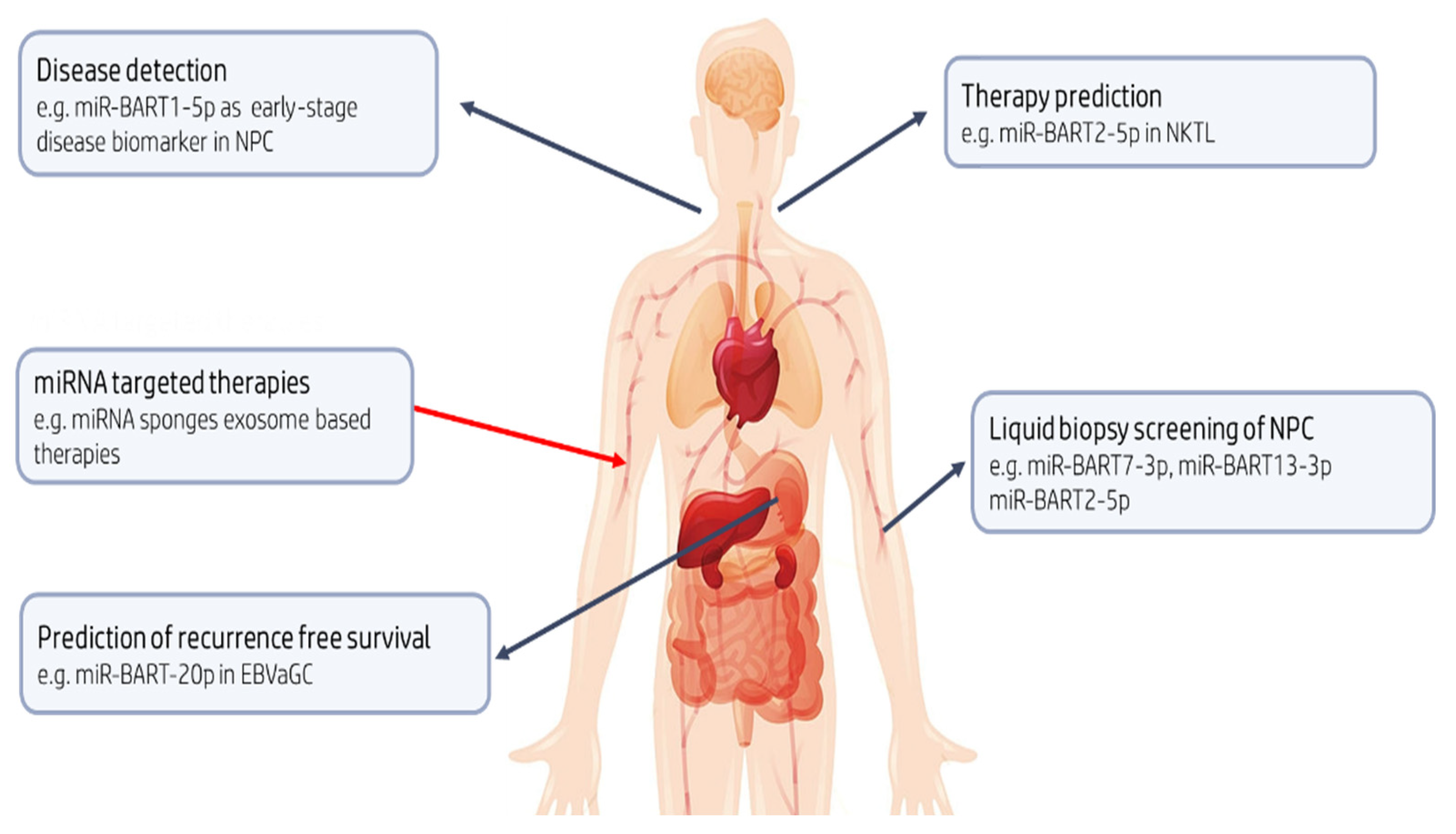 Cancers 13 03909 g003