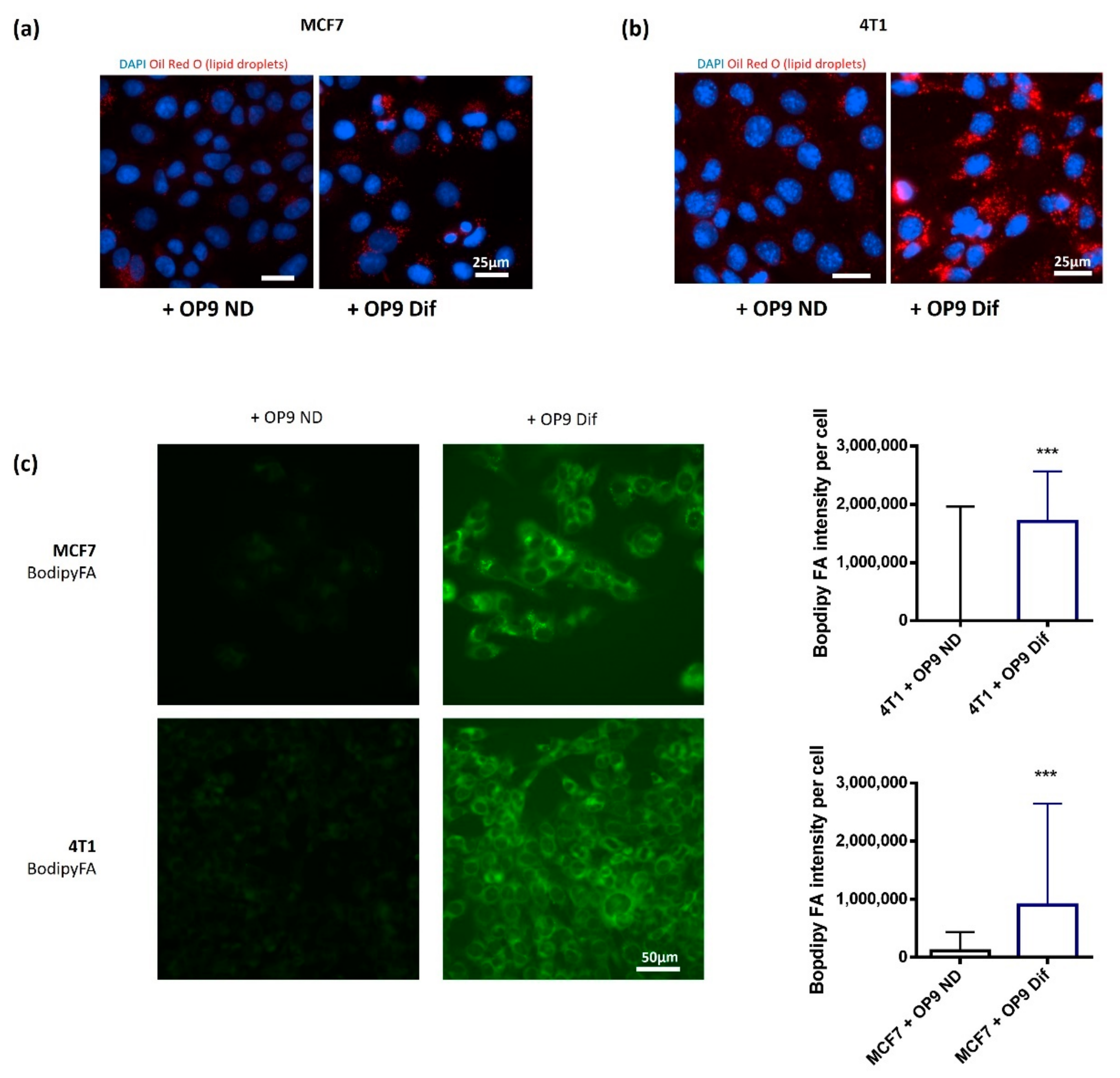 Cancers 13 03917 g001