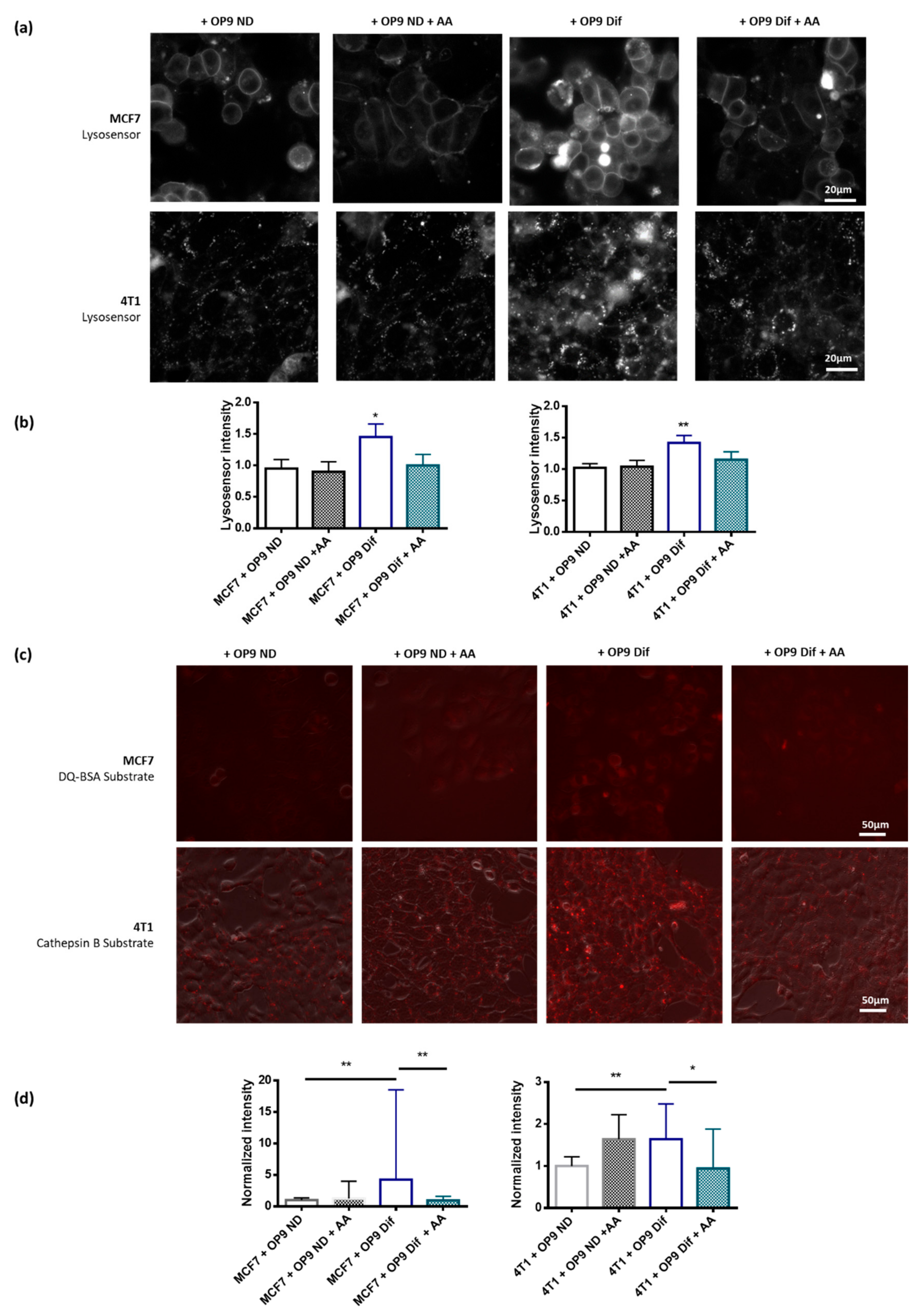 Cancers 13 03917 g005