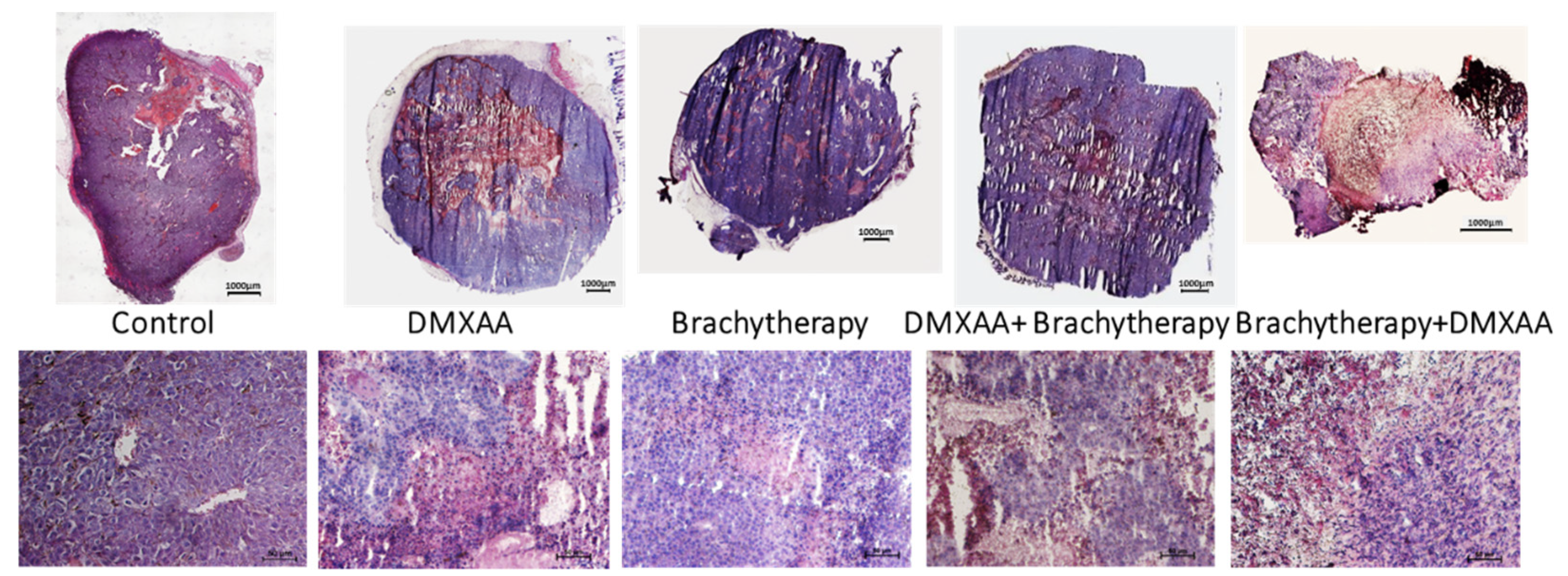 Cancers 13 03924 g002