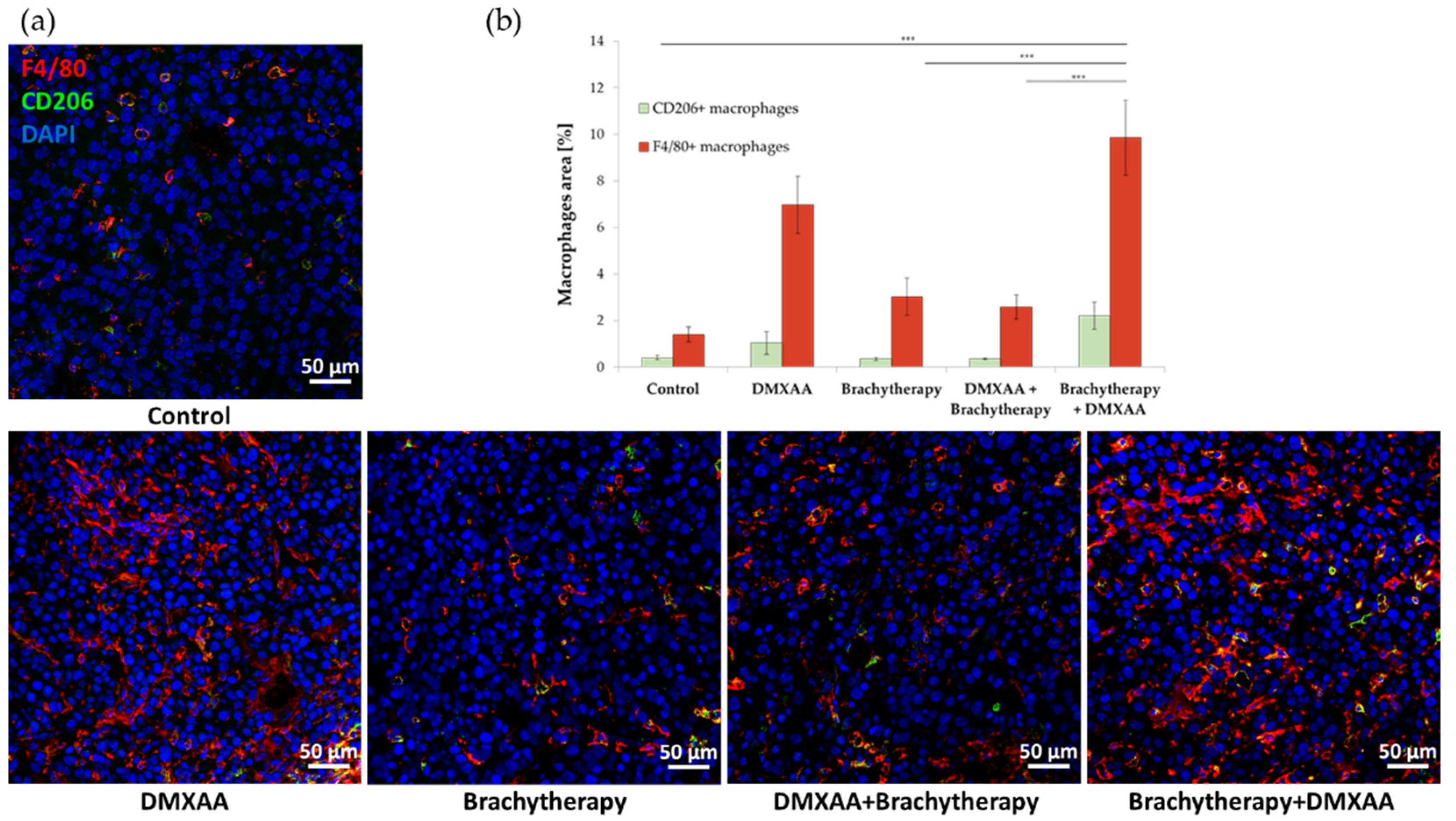 Cancers 13 03924 g004a