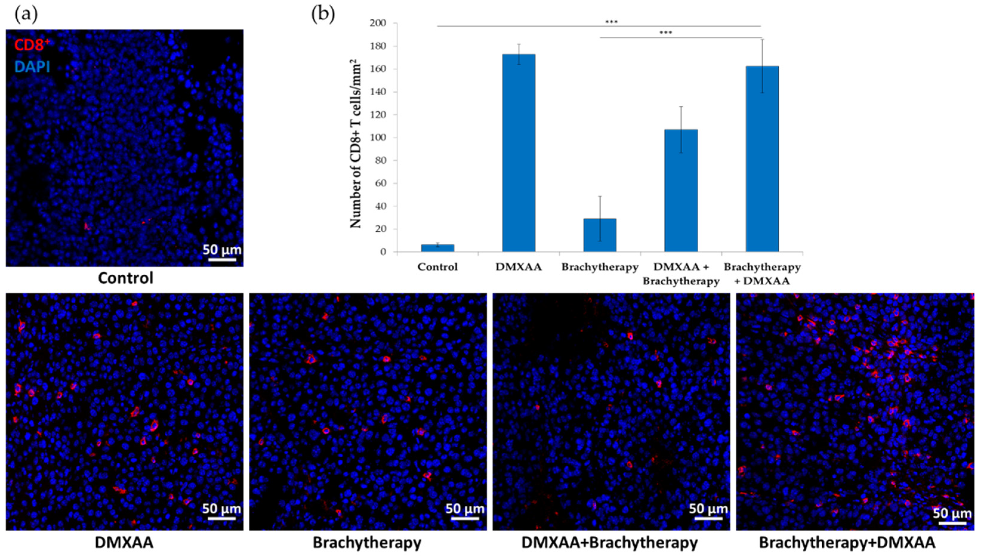 Cancers 13 03924 g005