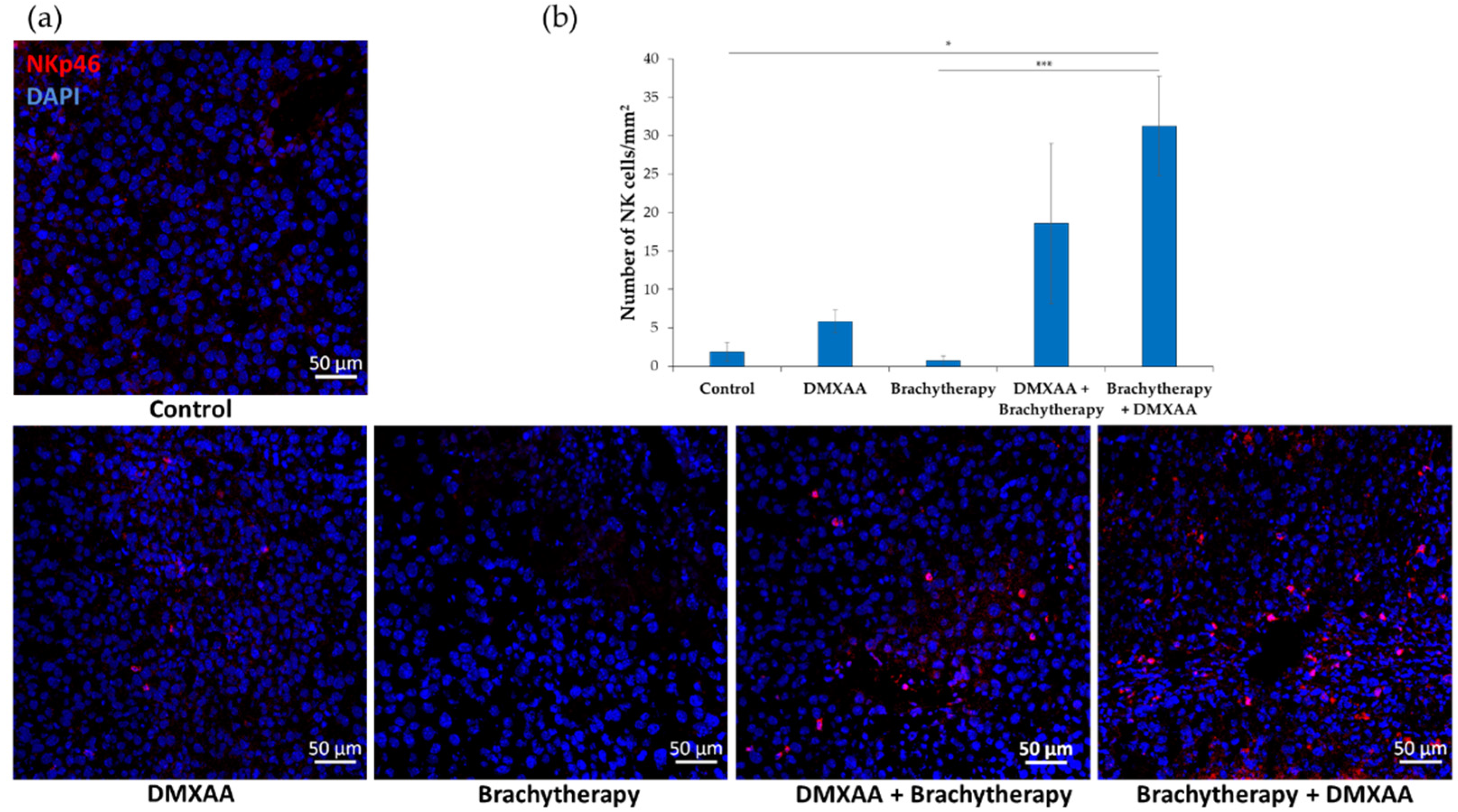 Cancers 13 03924 g006