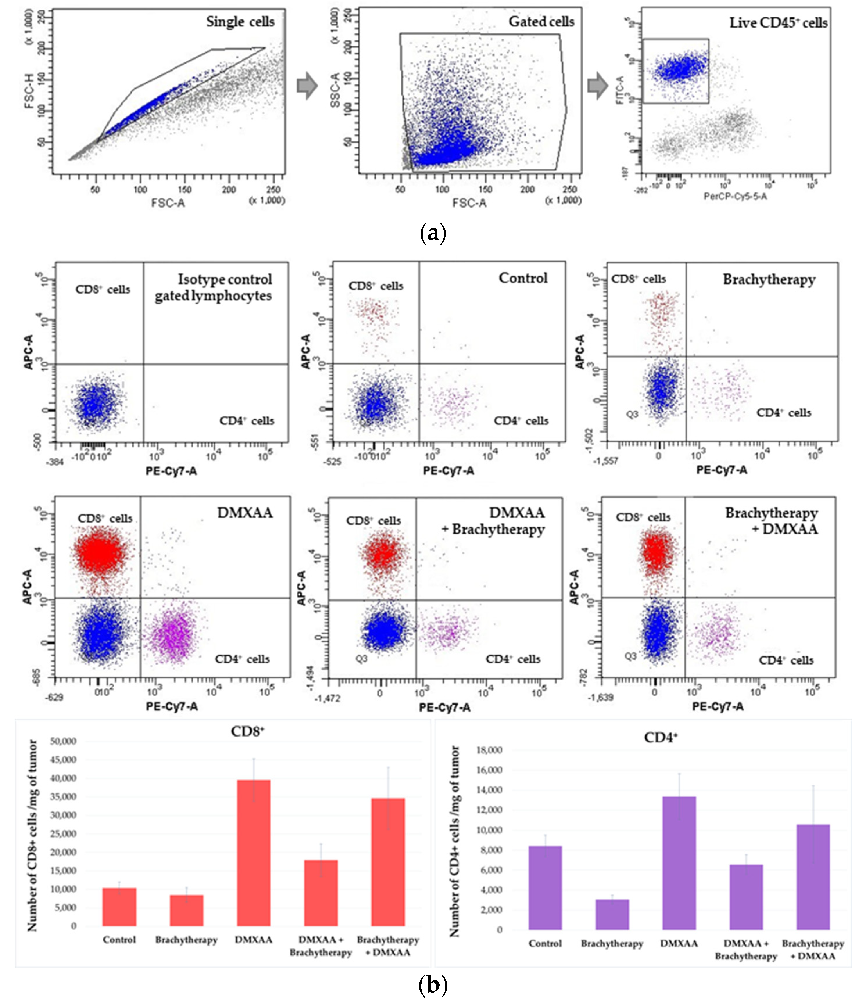 Cancers 13 03924 g007a