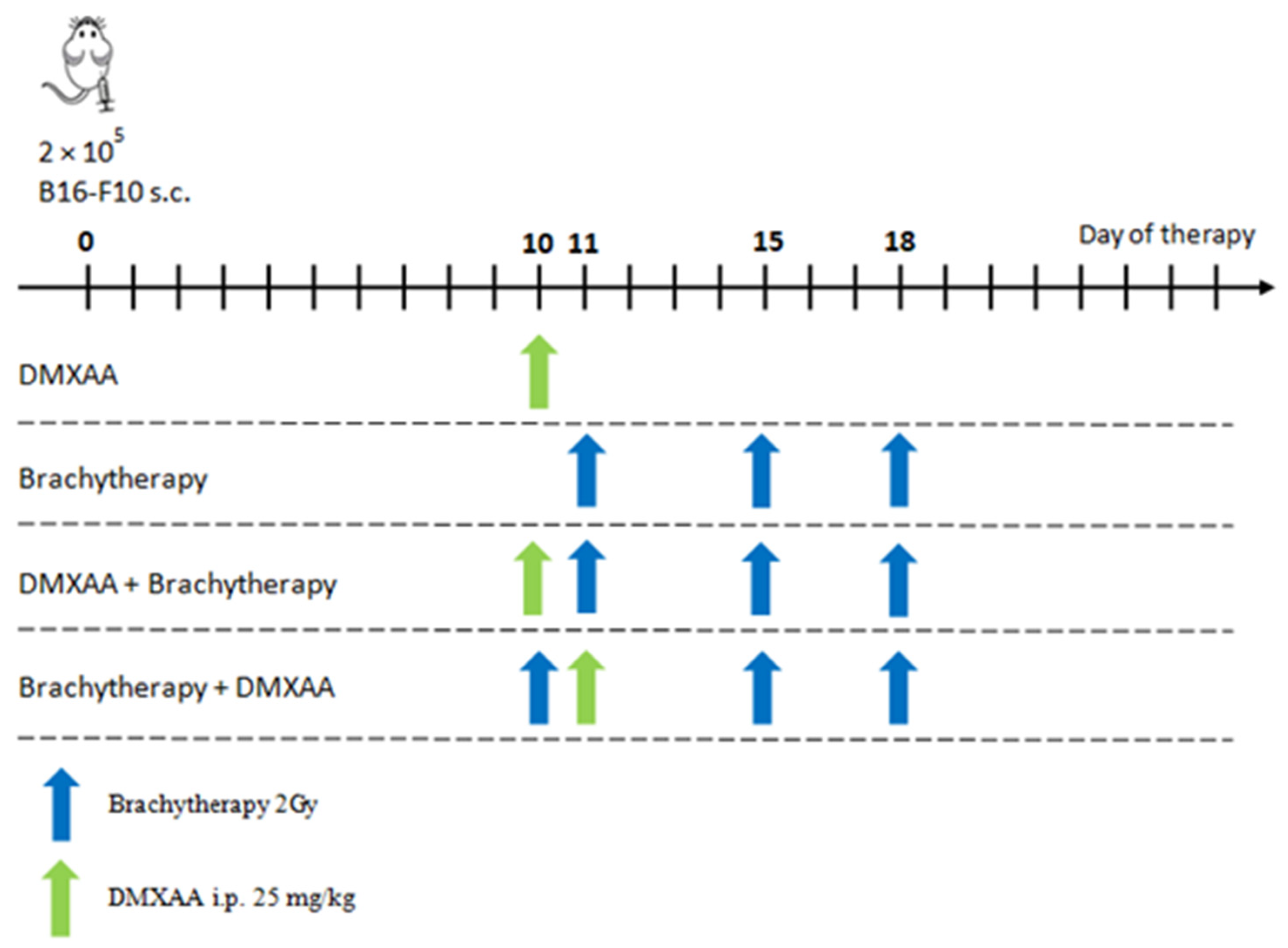 Cancers 13 03924 sch001
