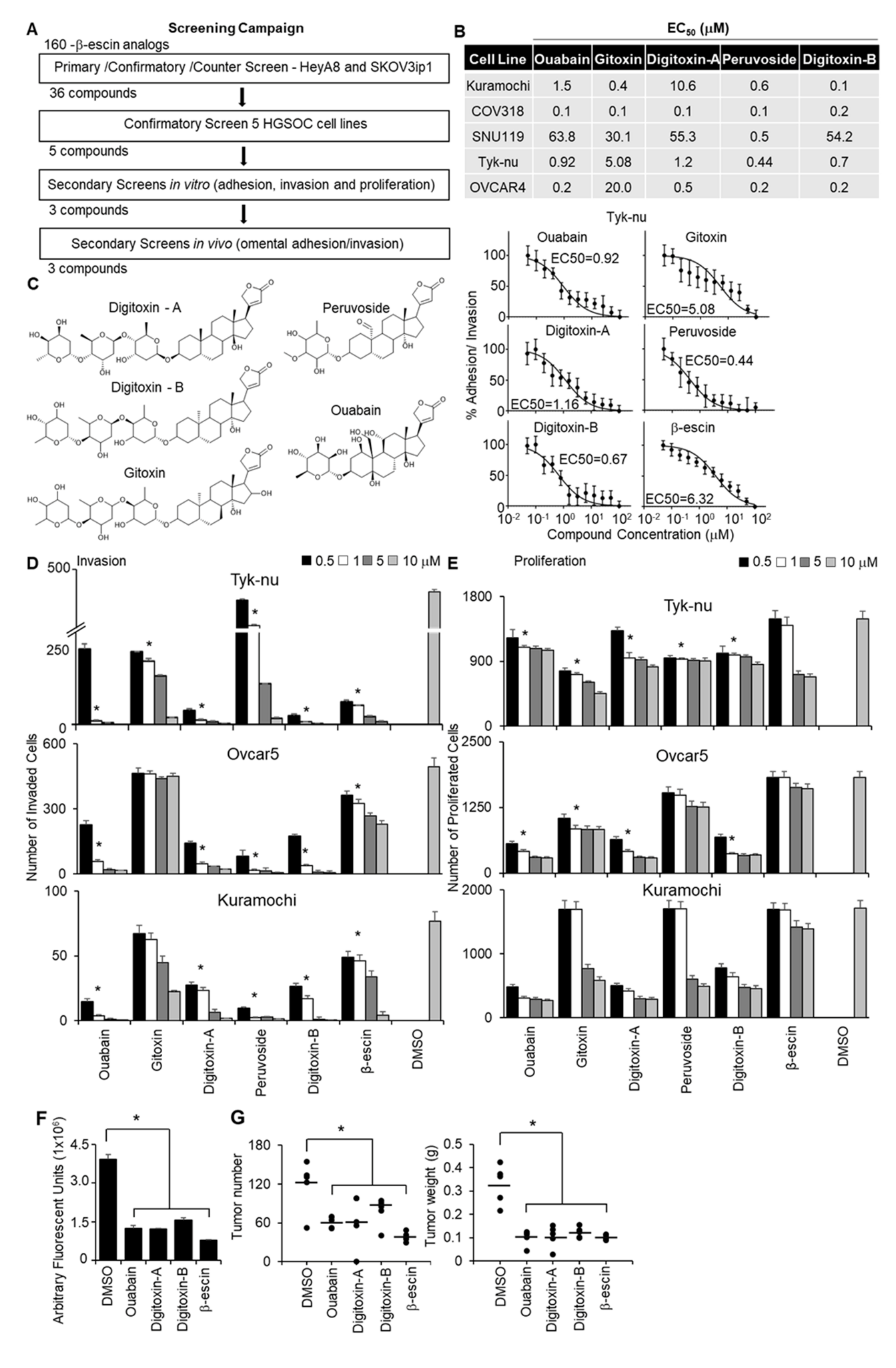Cancers 13 03931 g002 Cancers 13 03931 g002