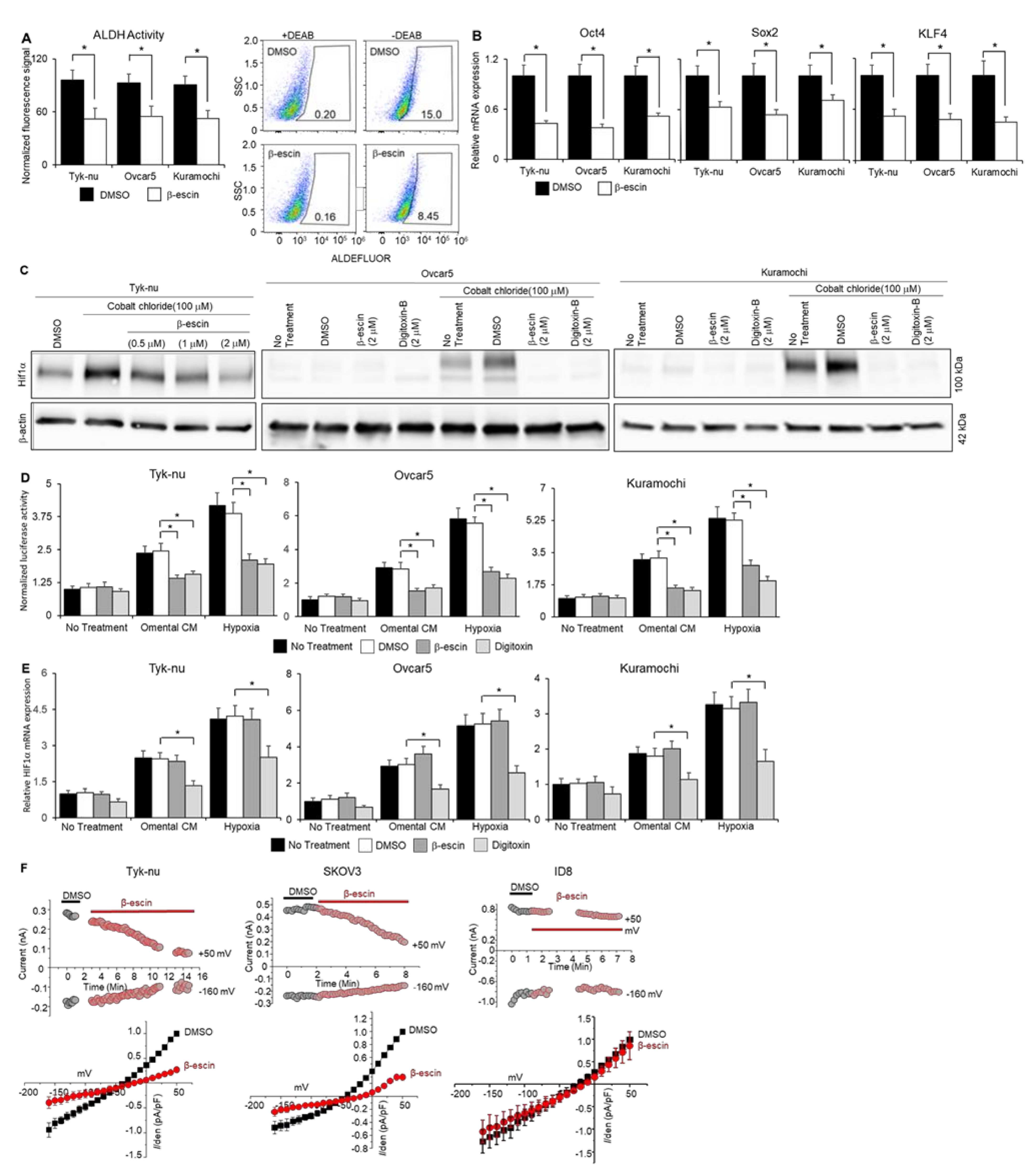 Cancers 13 03931 g003 Cancers 13 03931 g003