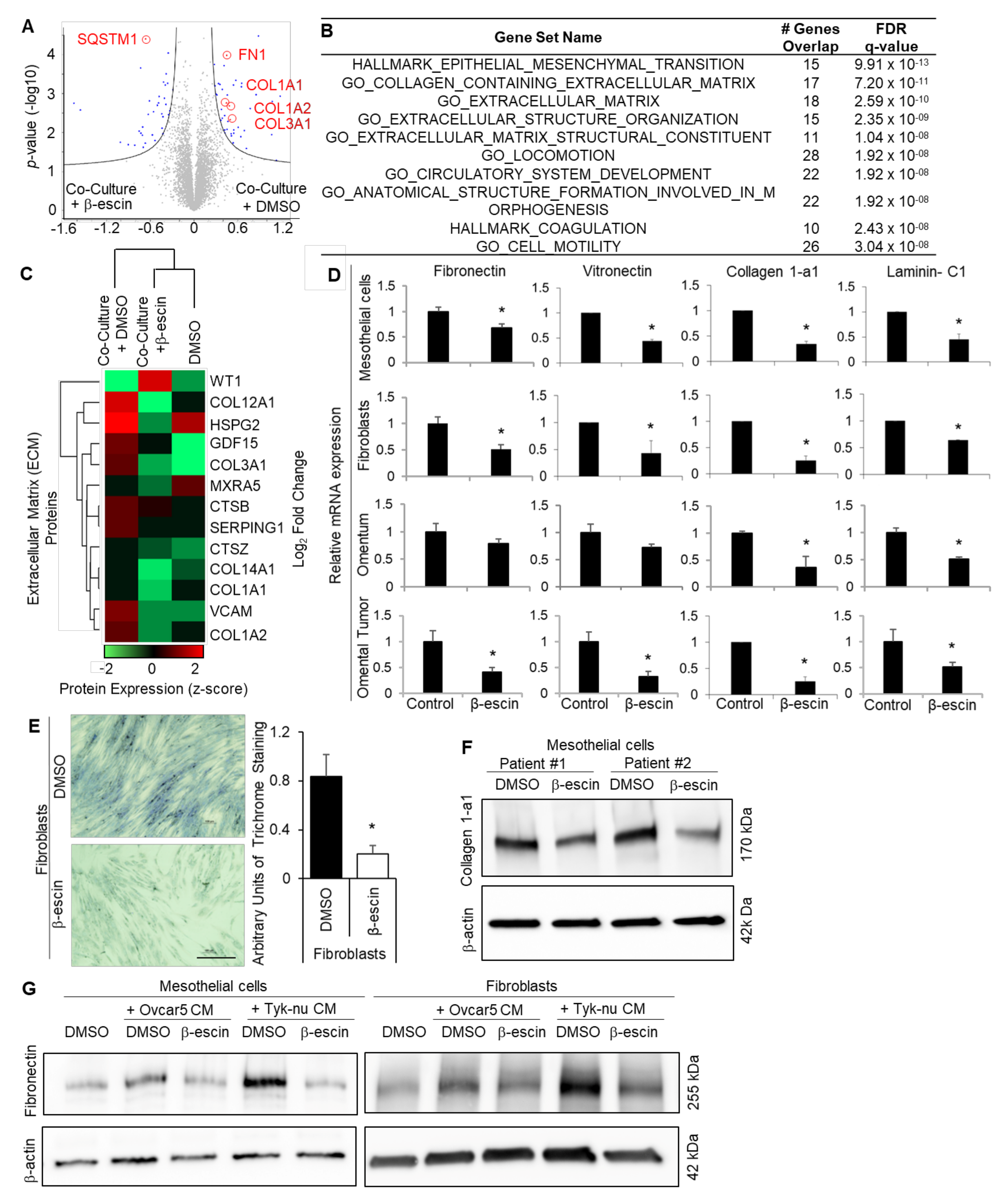 Cancers 13 03931 g004 Cancers 13 03931 g004