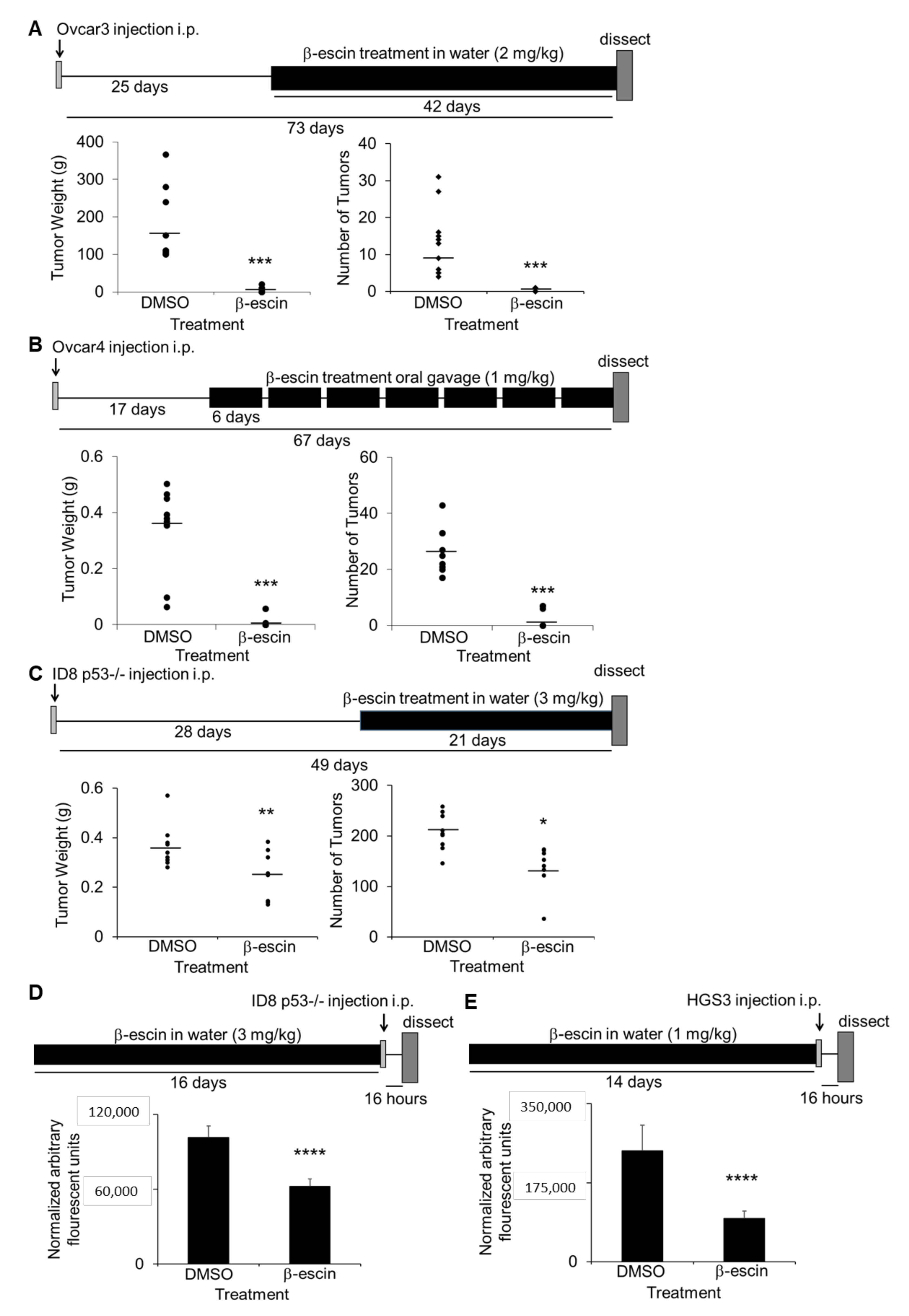 Cancers 13 03931 g005 Cancers 13 03931 g005