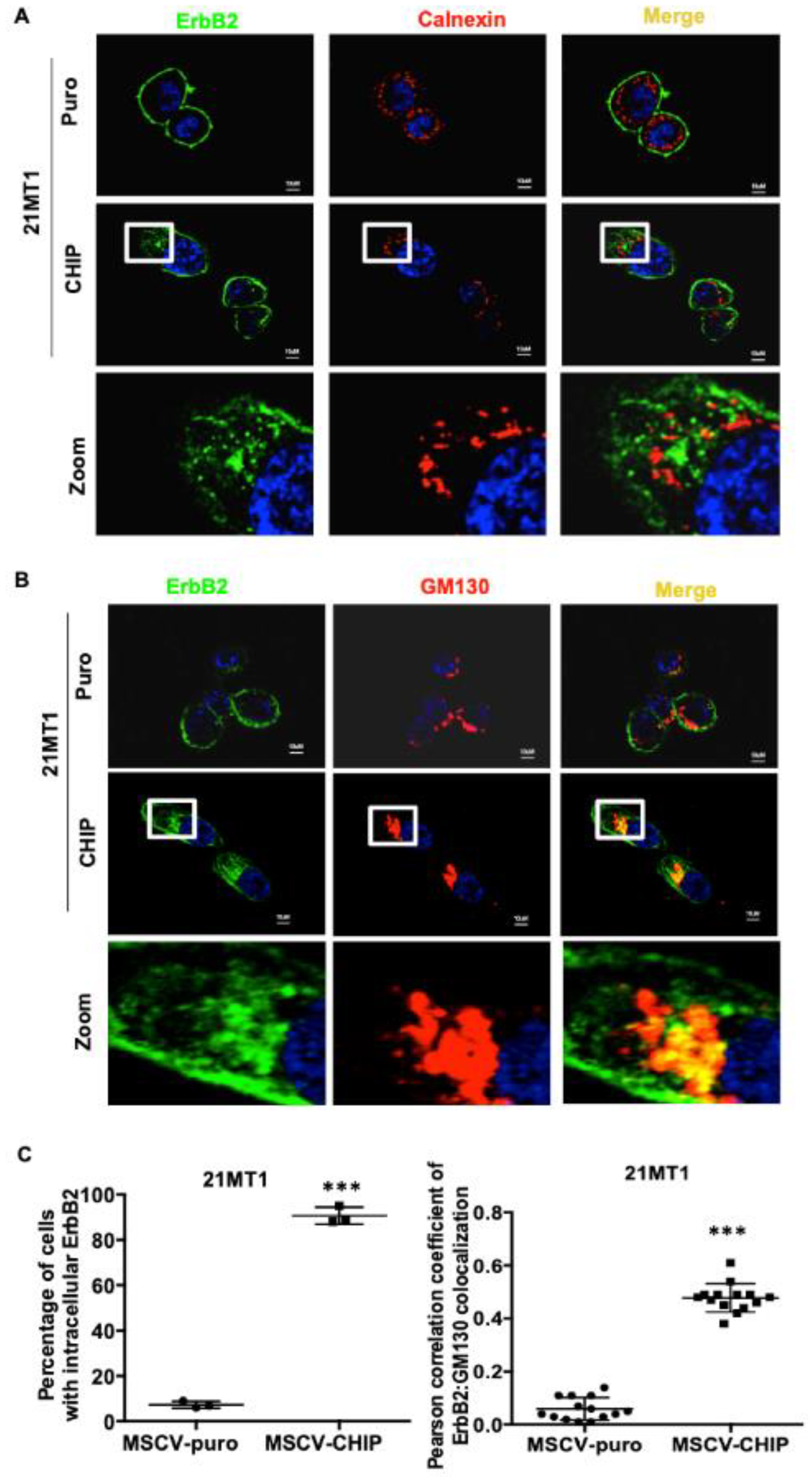 Cancers 13 03936 g003a