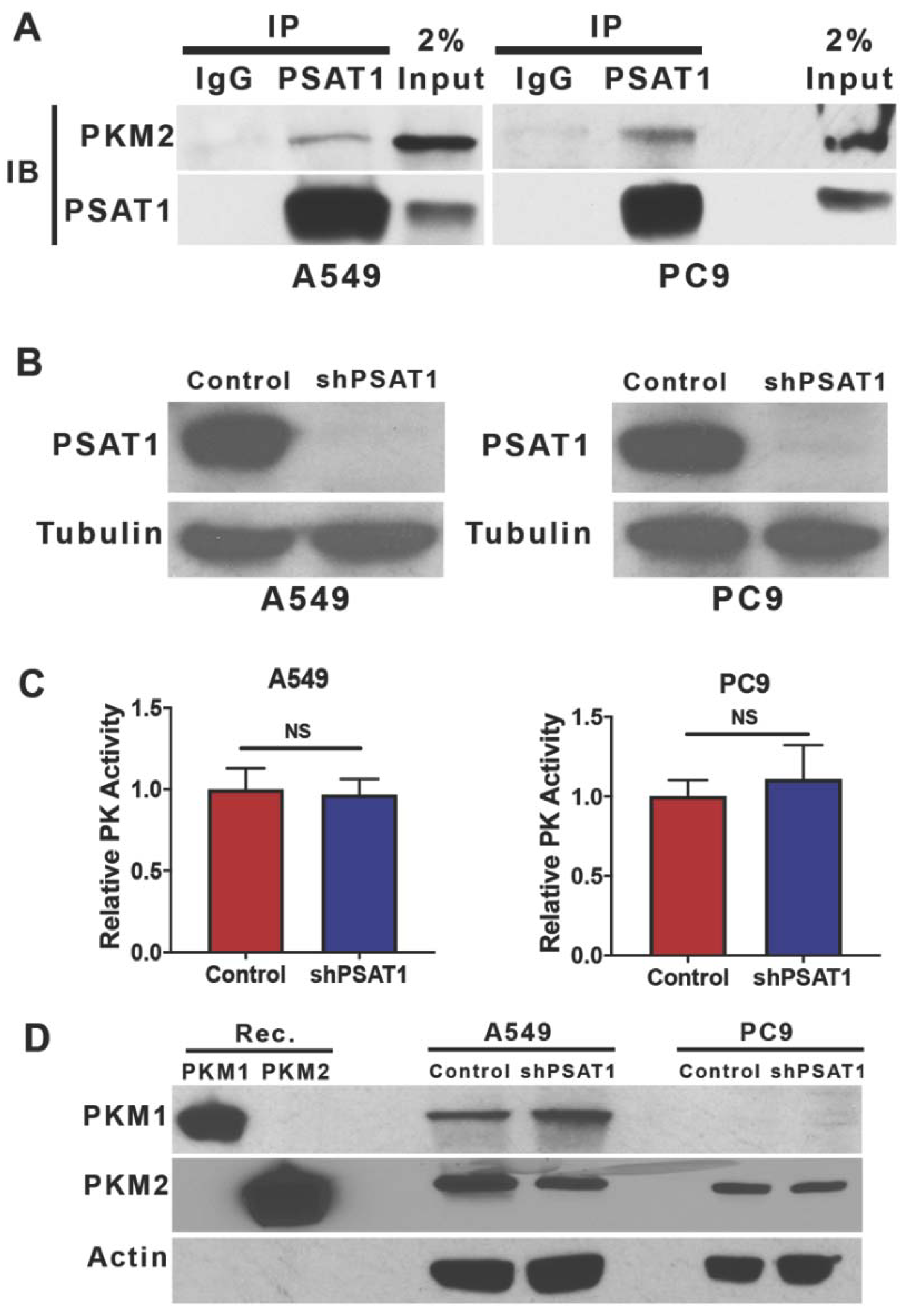 Cancers 13 03938 g003